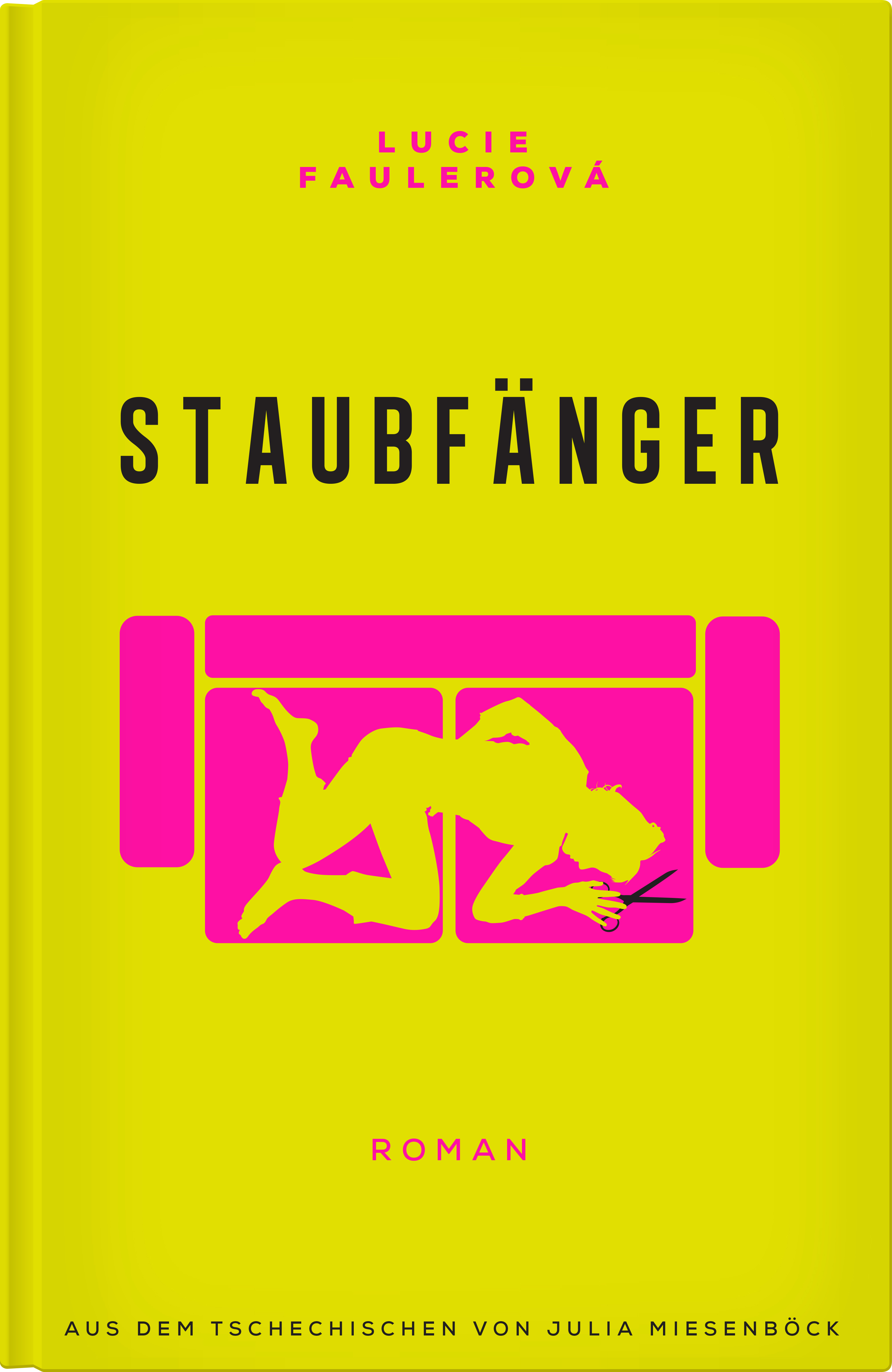 Обложка книги «Staubfänger»