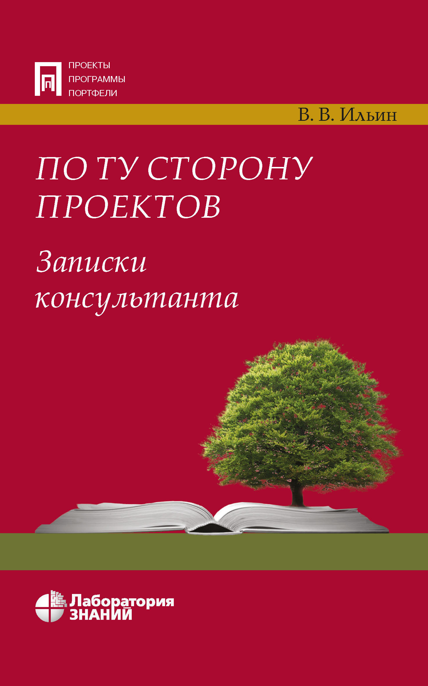 Обложка книги «По ту сторону проектов. Записки консультанта»