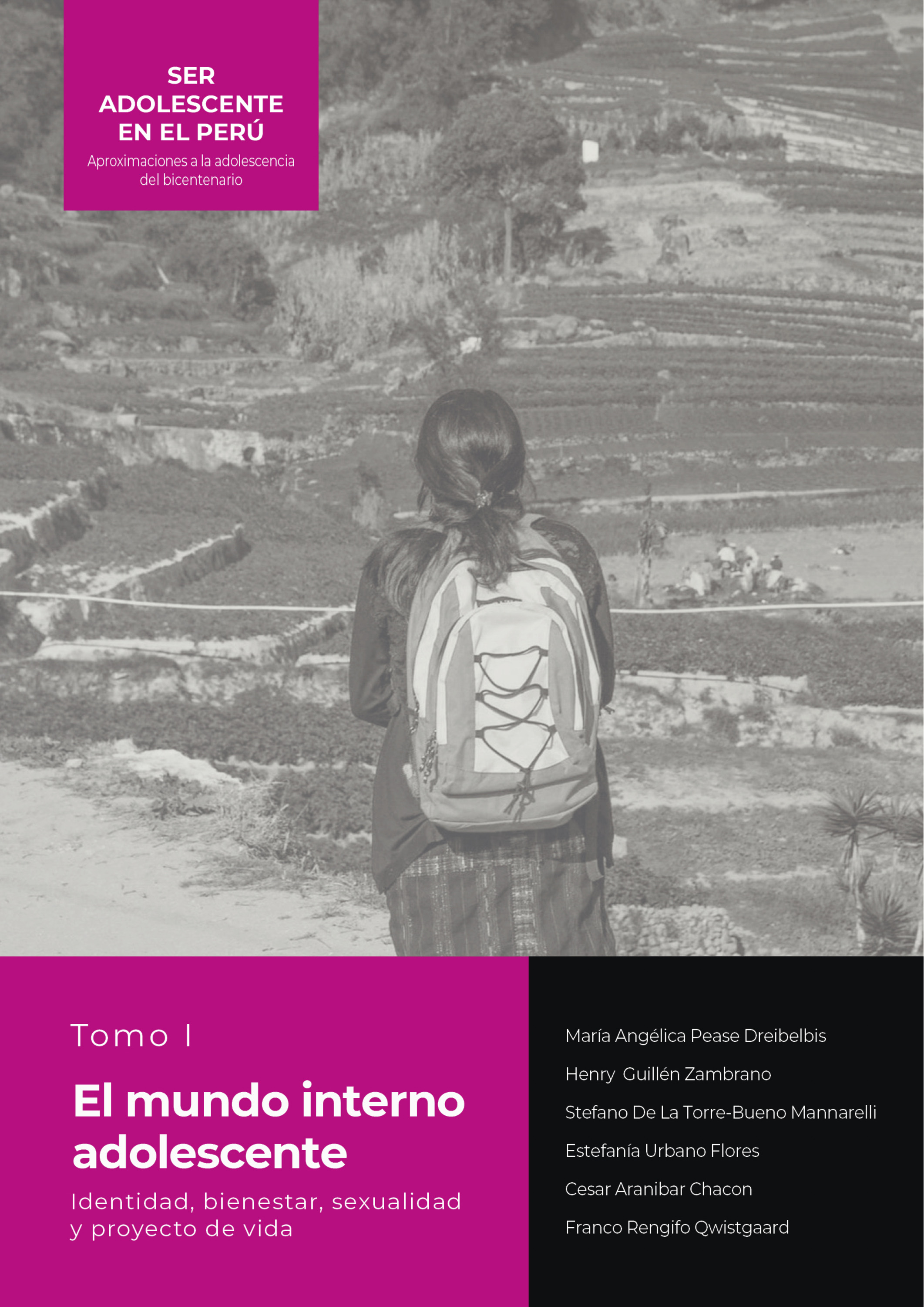 Обложка книги «El mundo interno adolescente Identidad, bienestar, sexualidad y proyecto de vida»