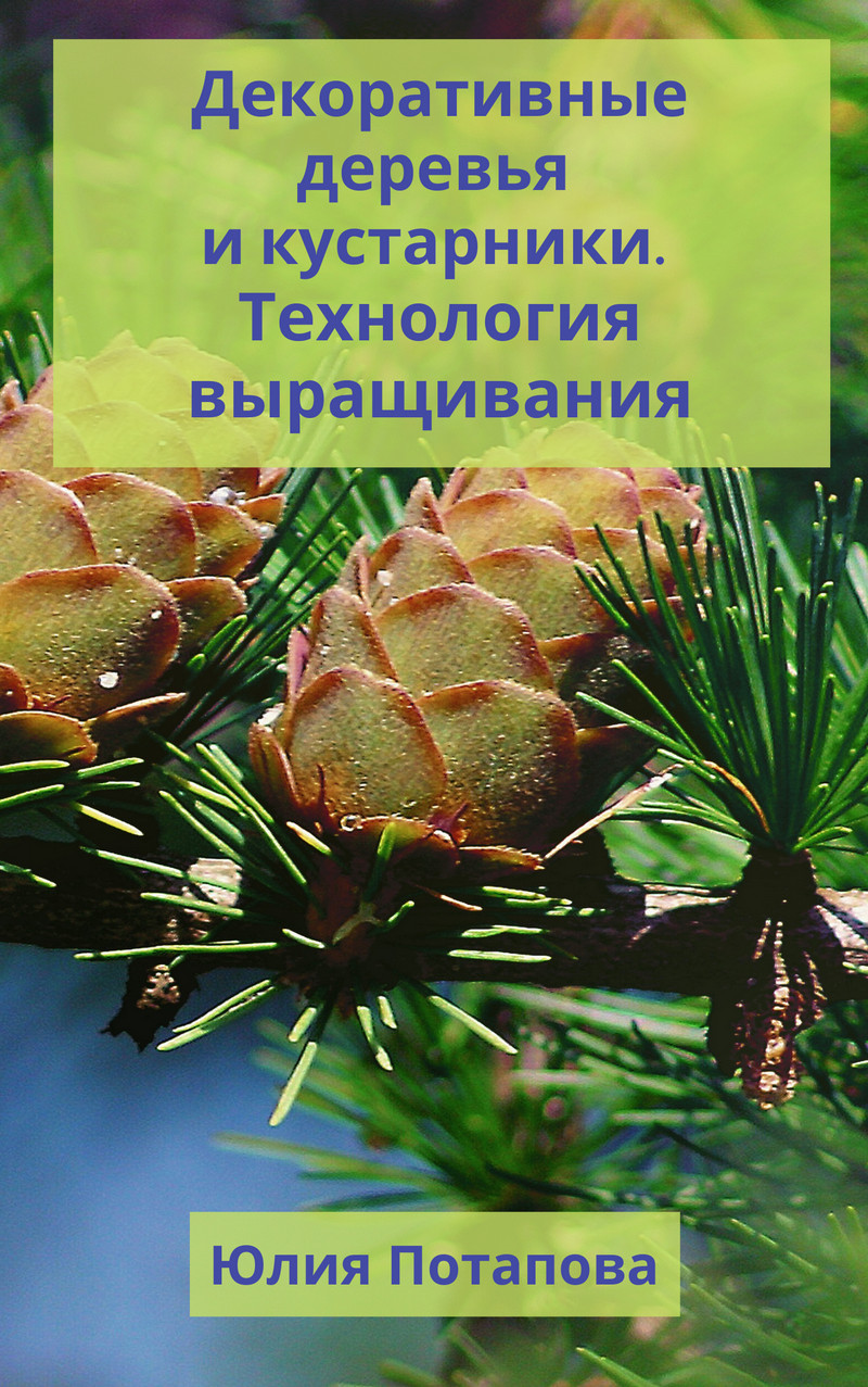 Обложка книги «Декоративные деревья и кустарники. Технологии выращивания»