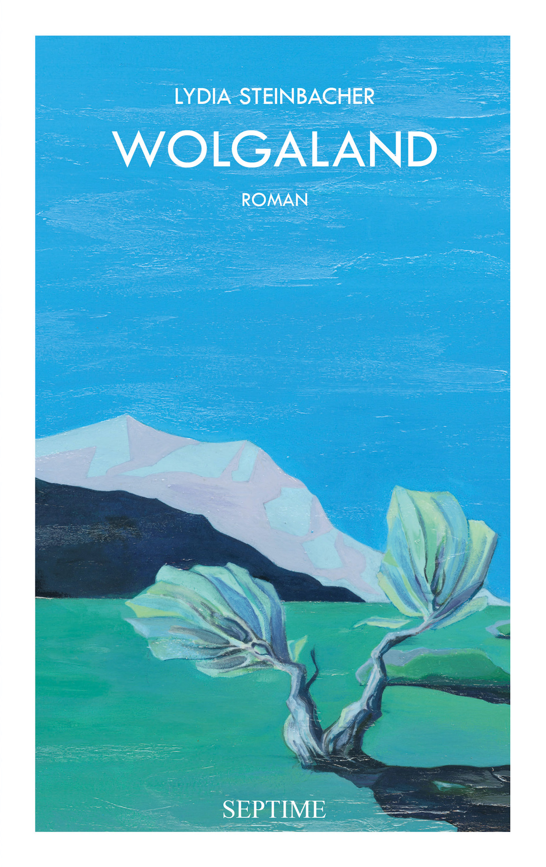 Обложка книги «Wolgaland»