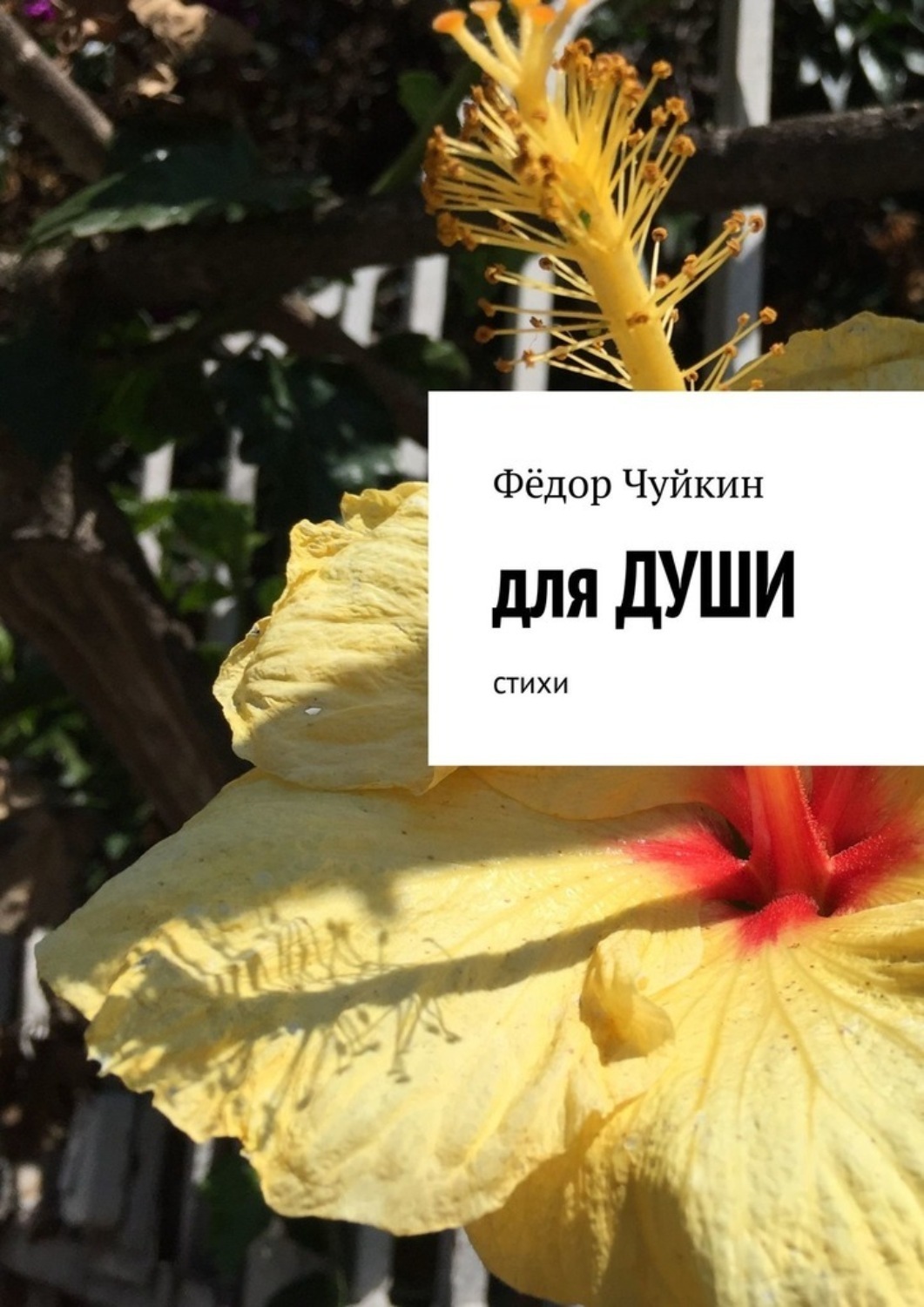 Обложка книги «Для души. Стихи»