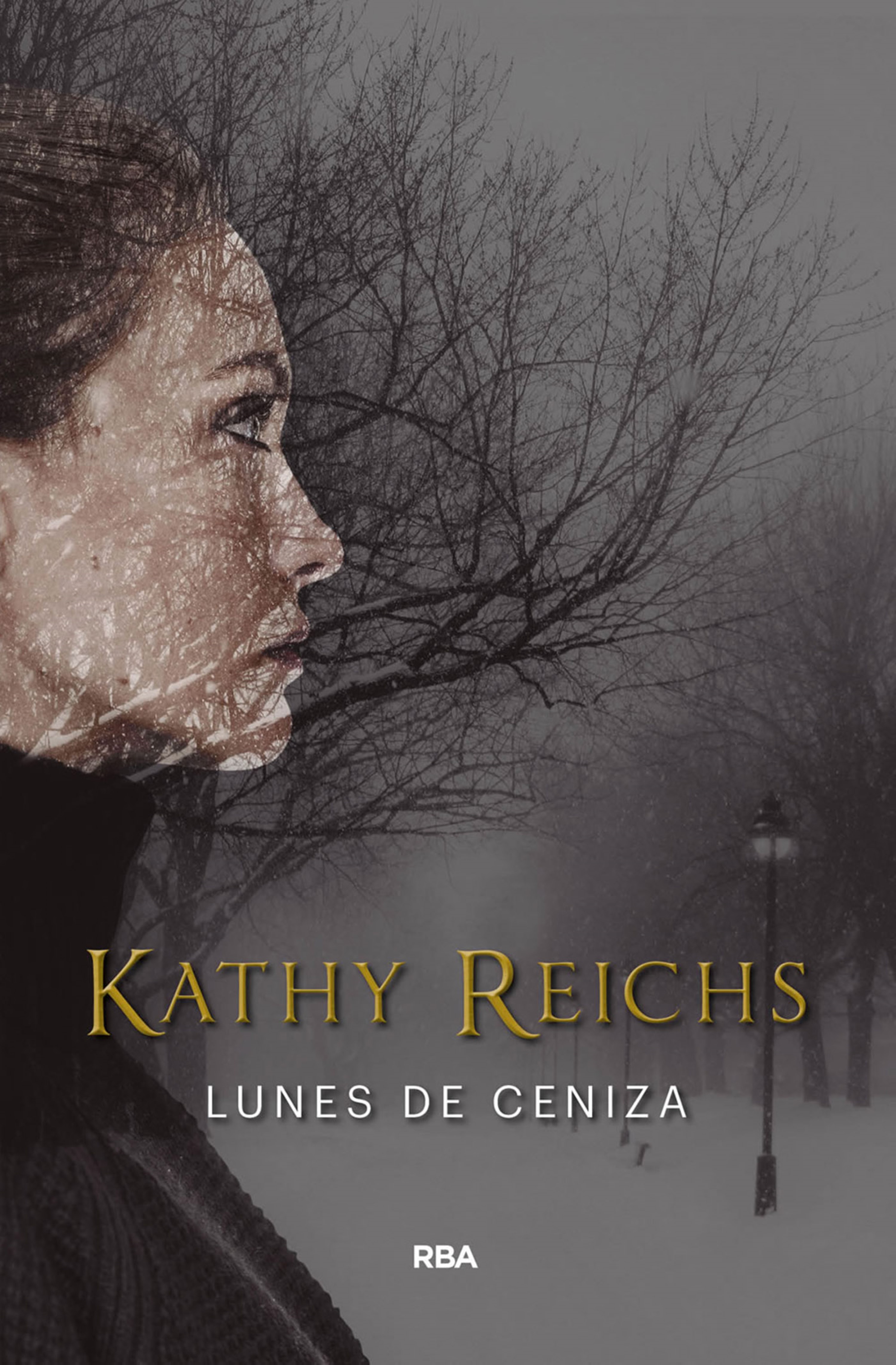 Обложка книги «Lunes de ceniza»