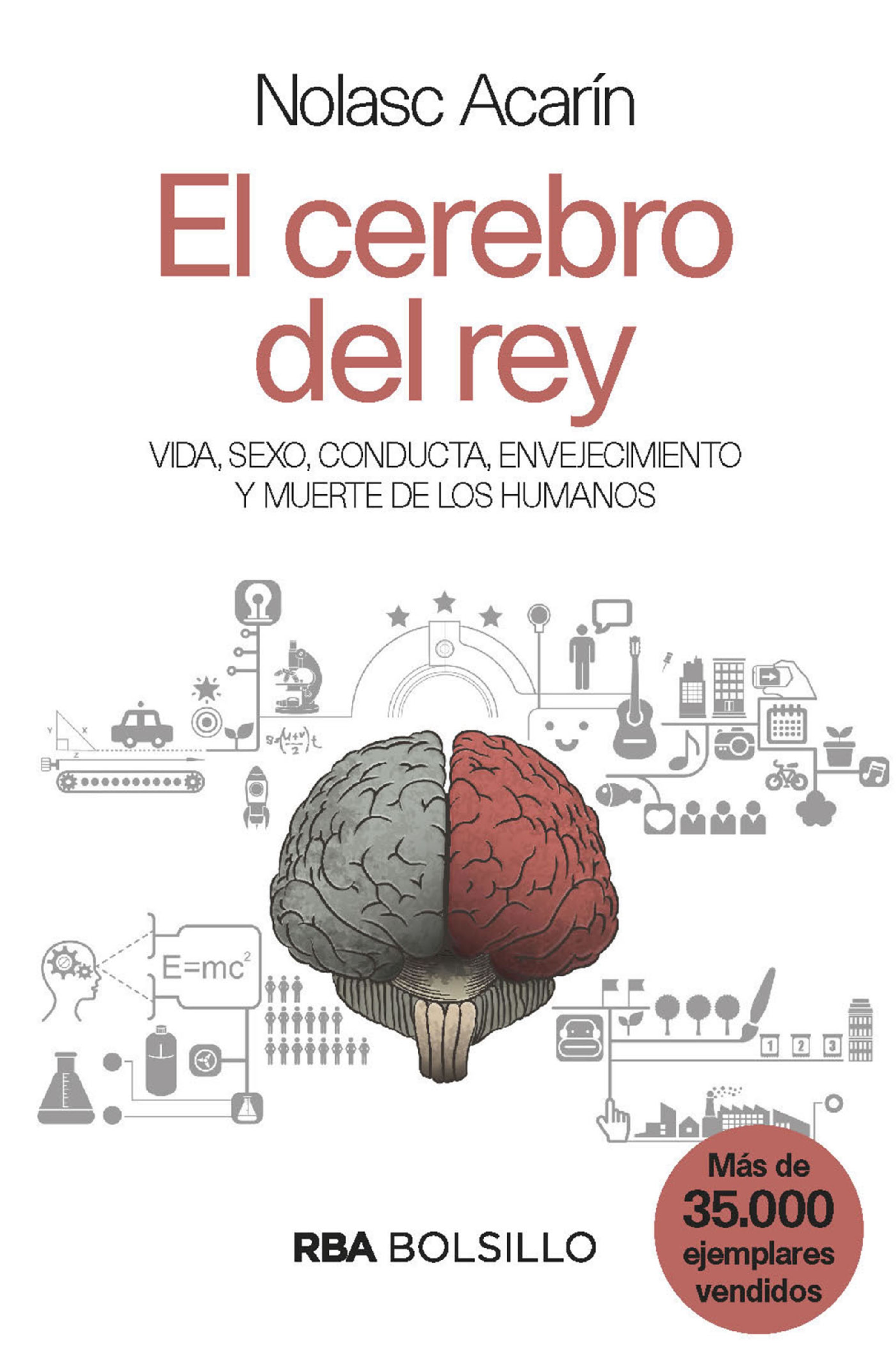 Обложка книги «El cerebro del rey»