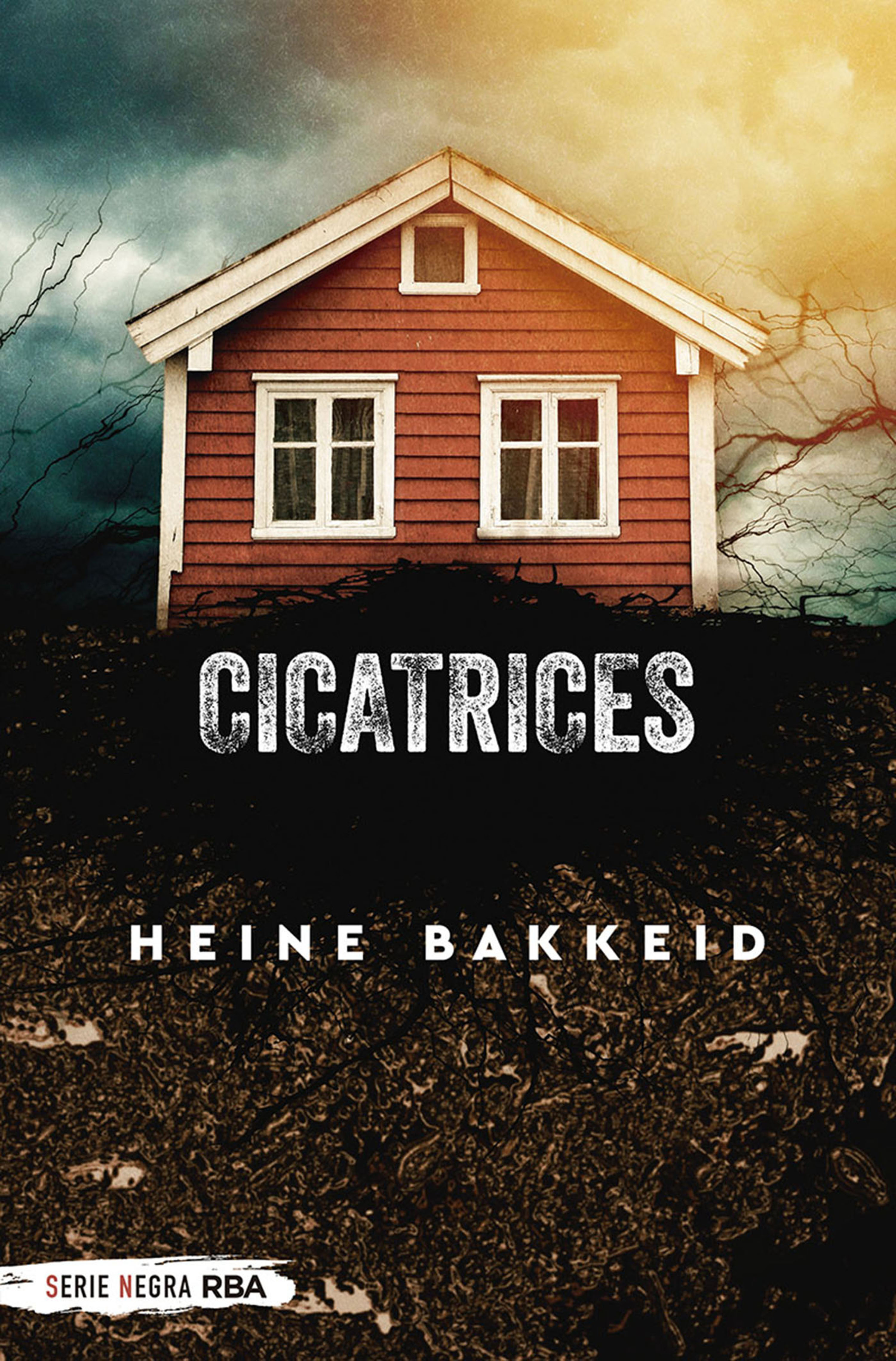 Обложка книги «Cicatrices»