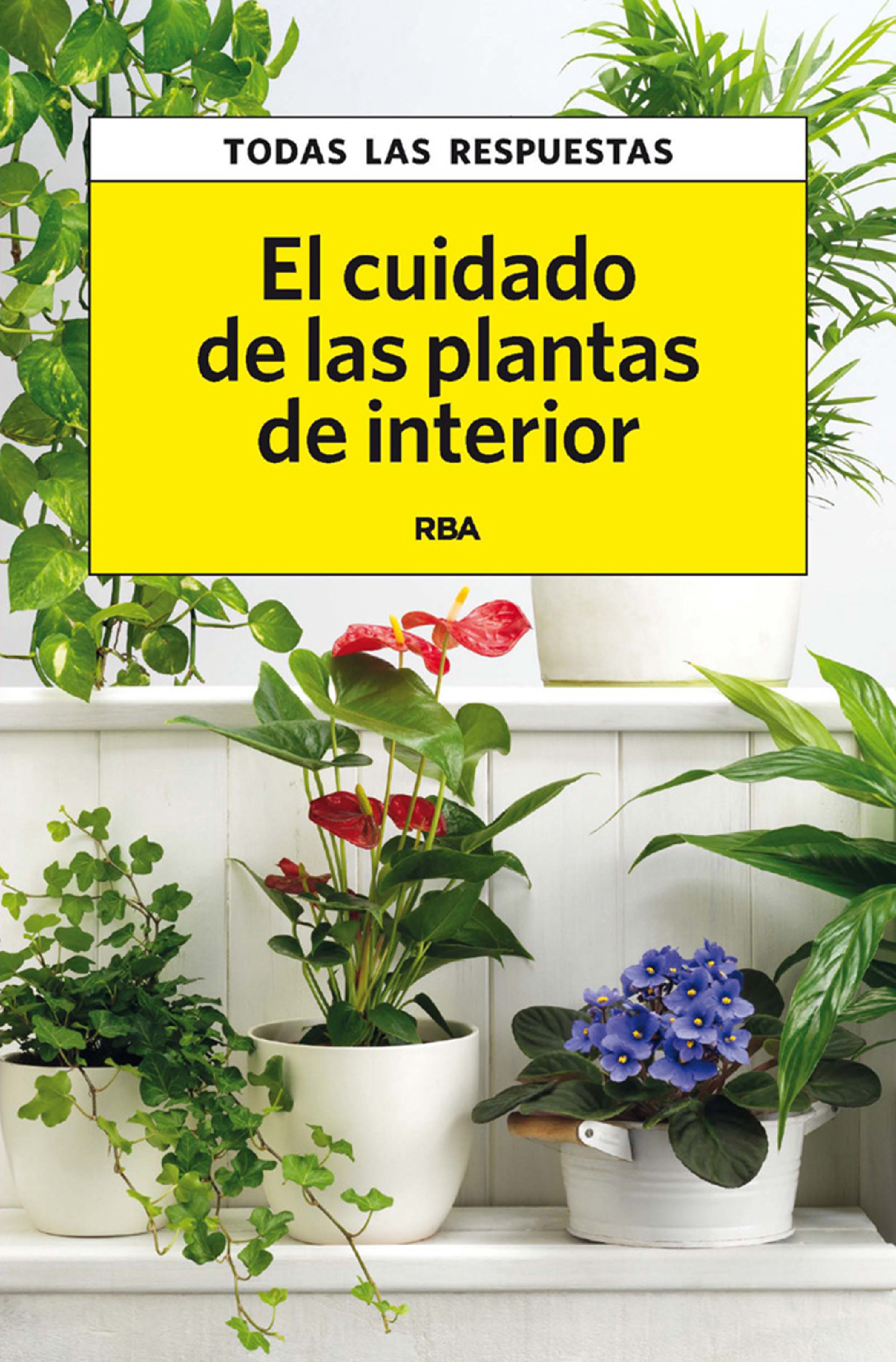Обложка книги «El cuidado de las plantas de interior»