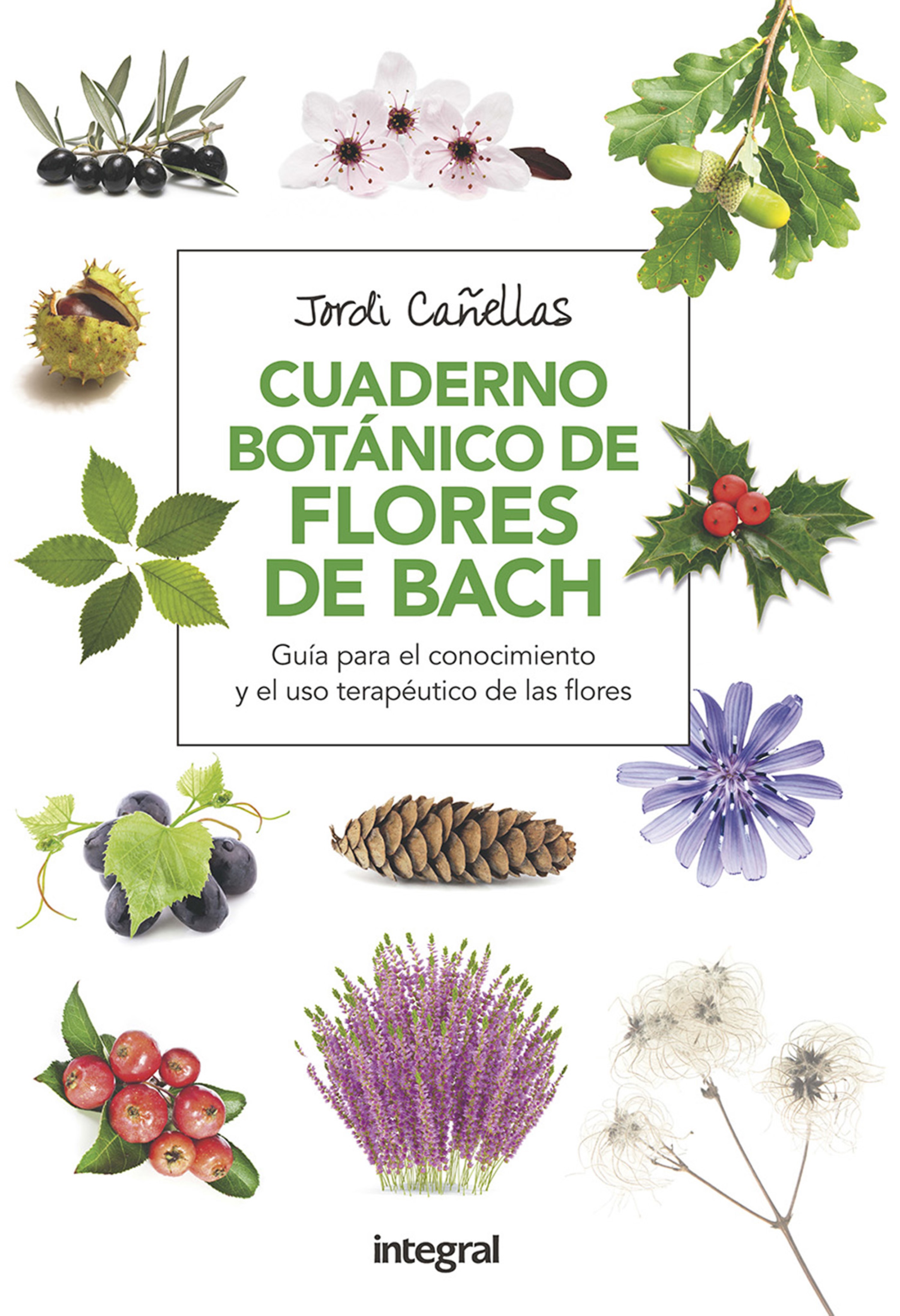 Обложка книги «Cuaderno botánico de Flores de Bach»