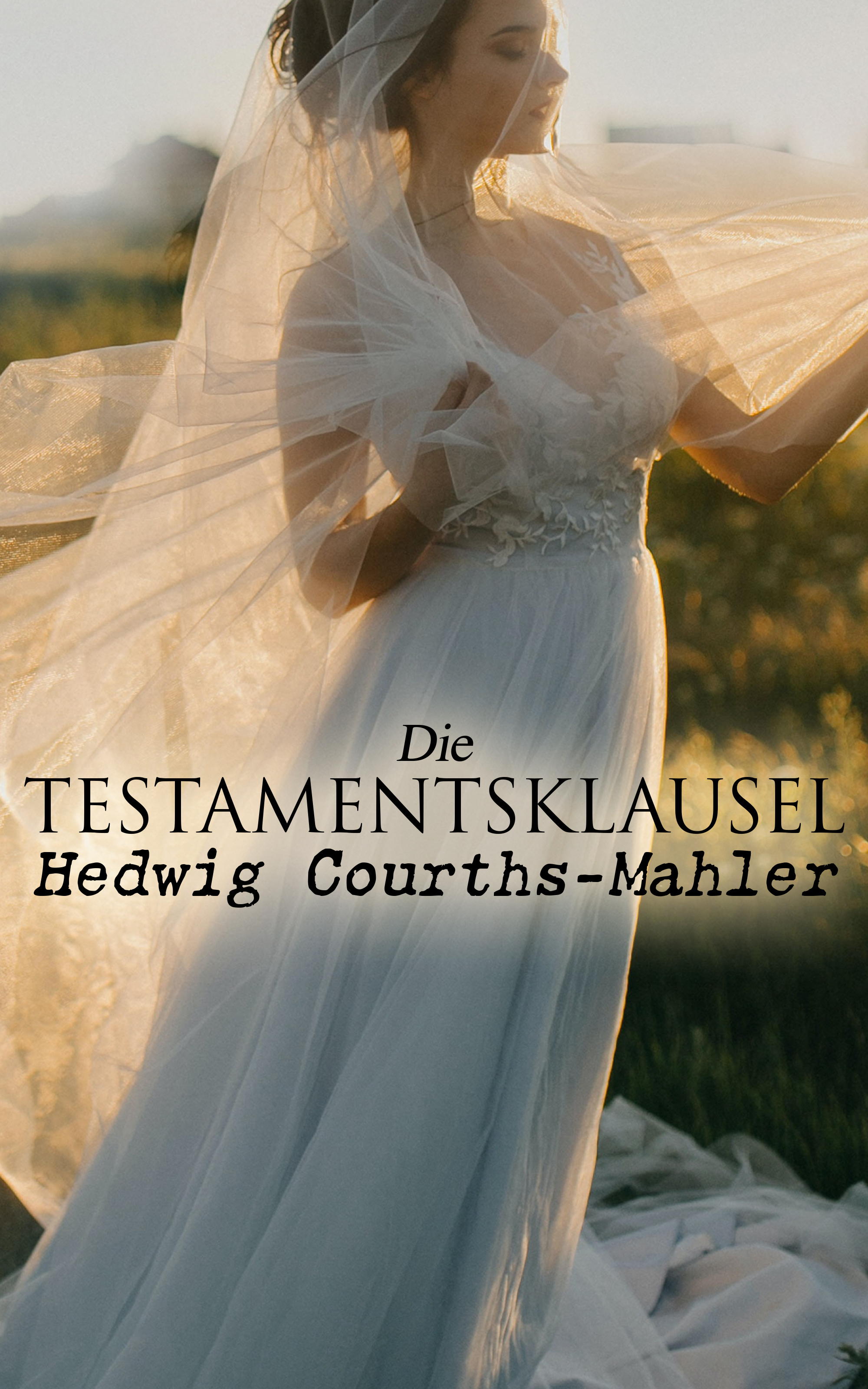 Обложка книги «Die Testamentsklausel»