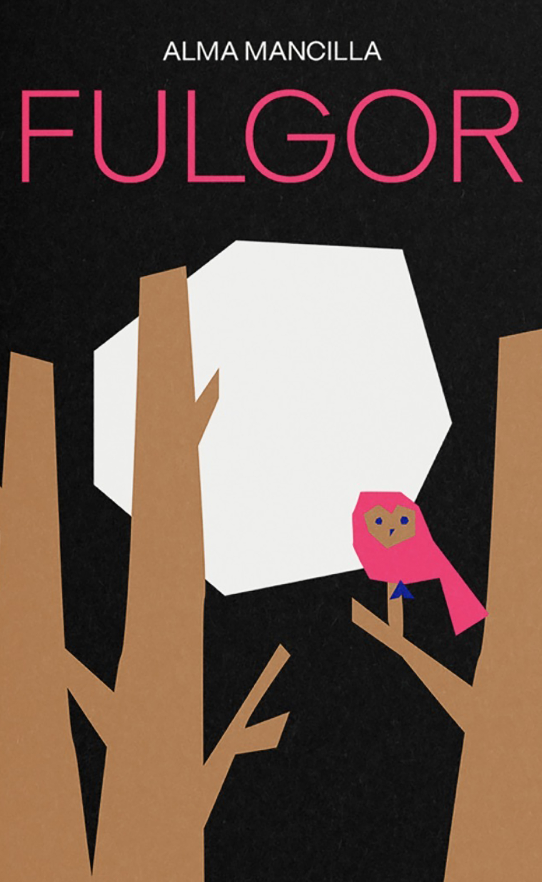 Обложка книги «Fulgor»