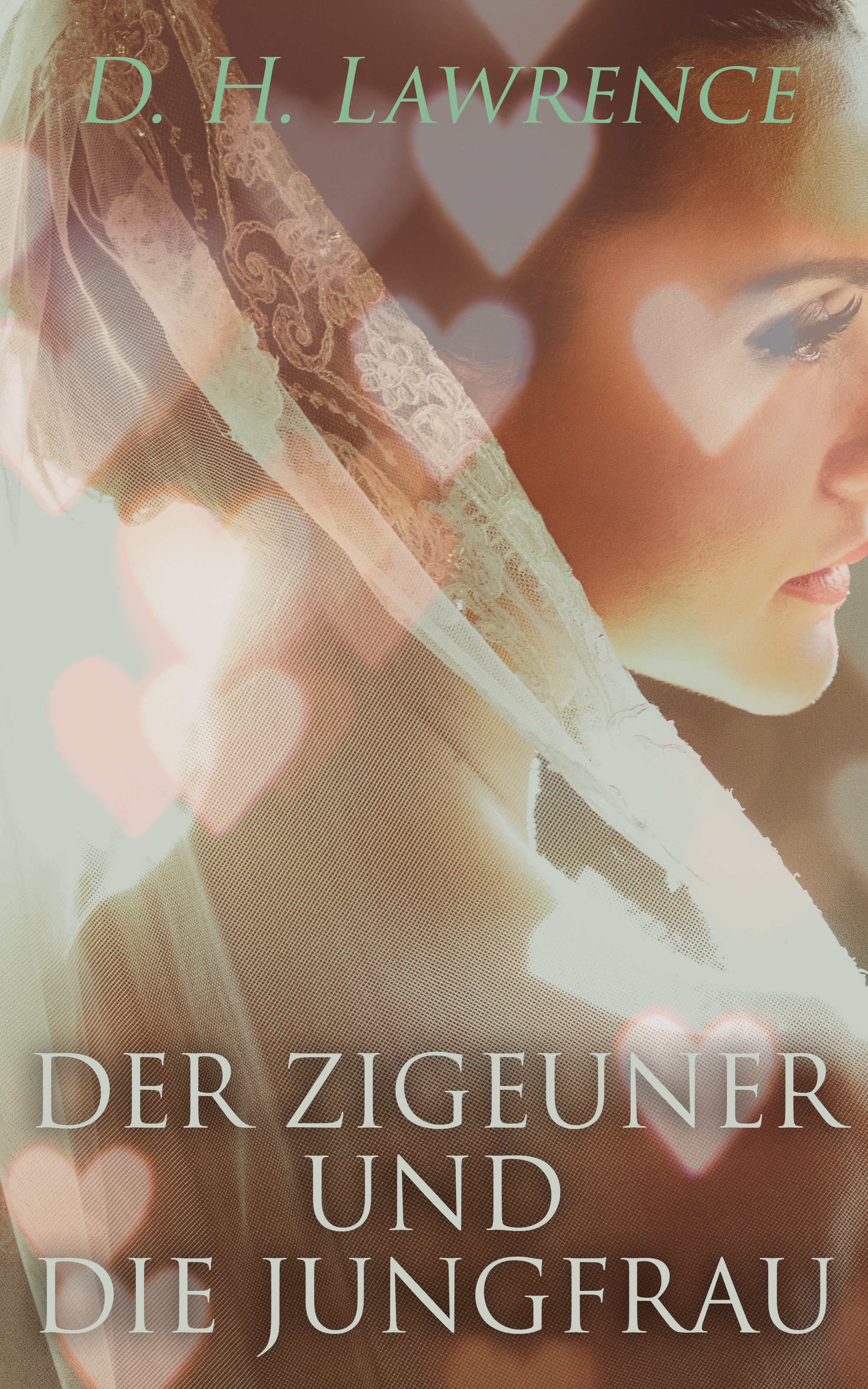 Обложка книги «Der Zigeuner und die Jungfrau»