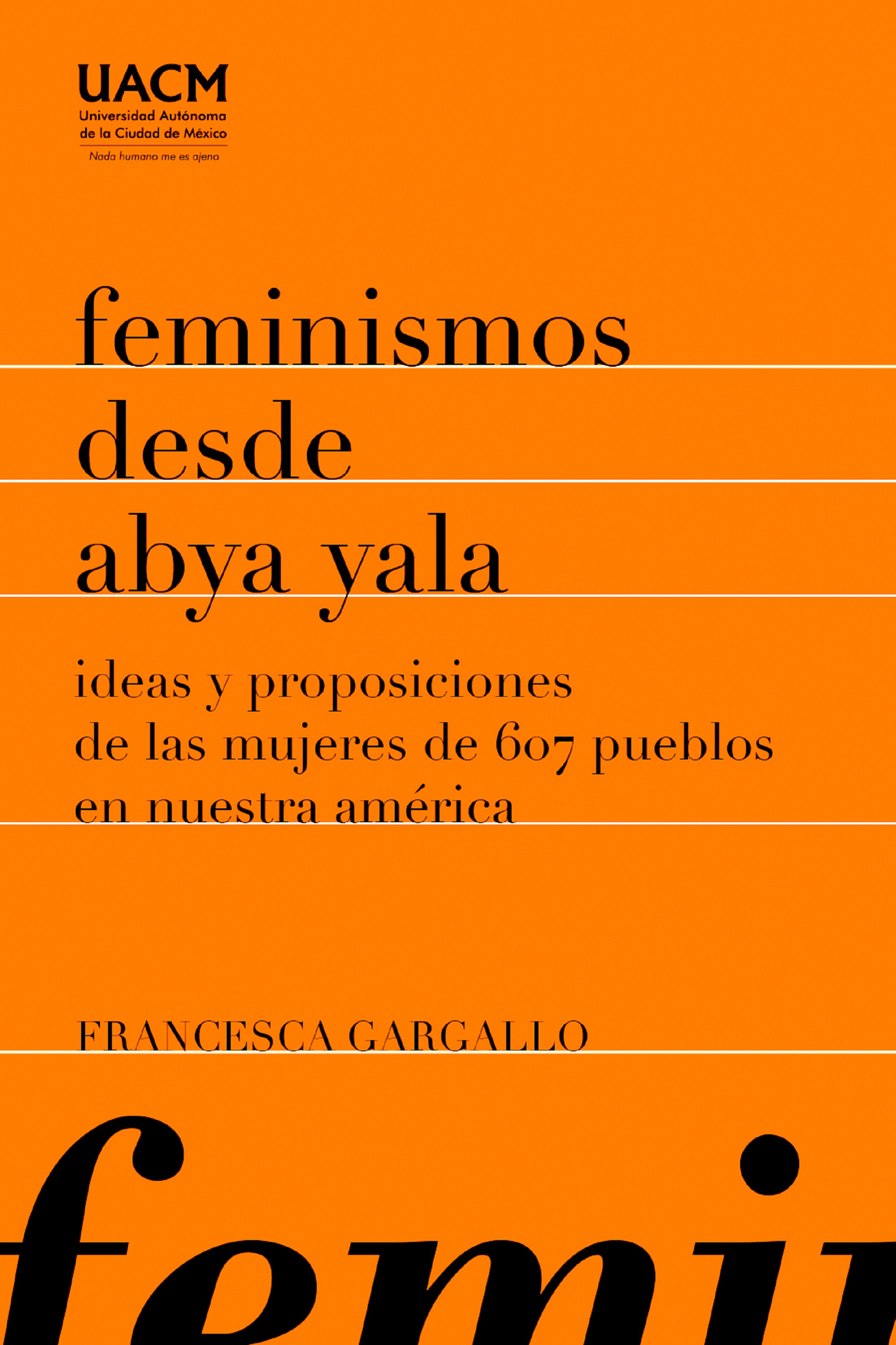 Обложка книги «Feminismos desde Abya Yala»