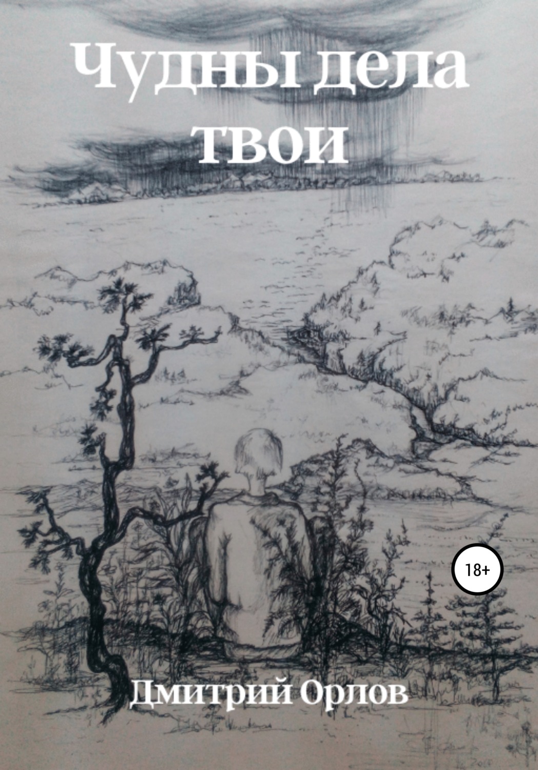 Обложка книги «Чудны дела твои»