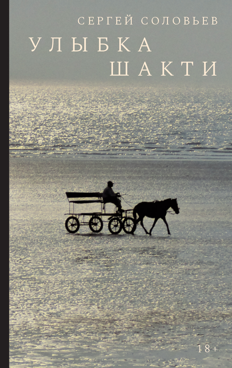 Обложка книги «Улыбка Шакти»