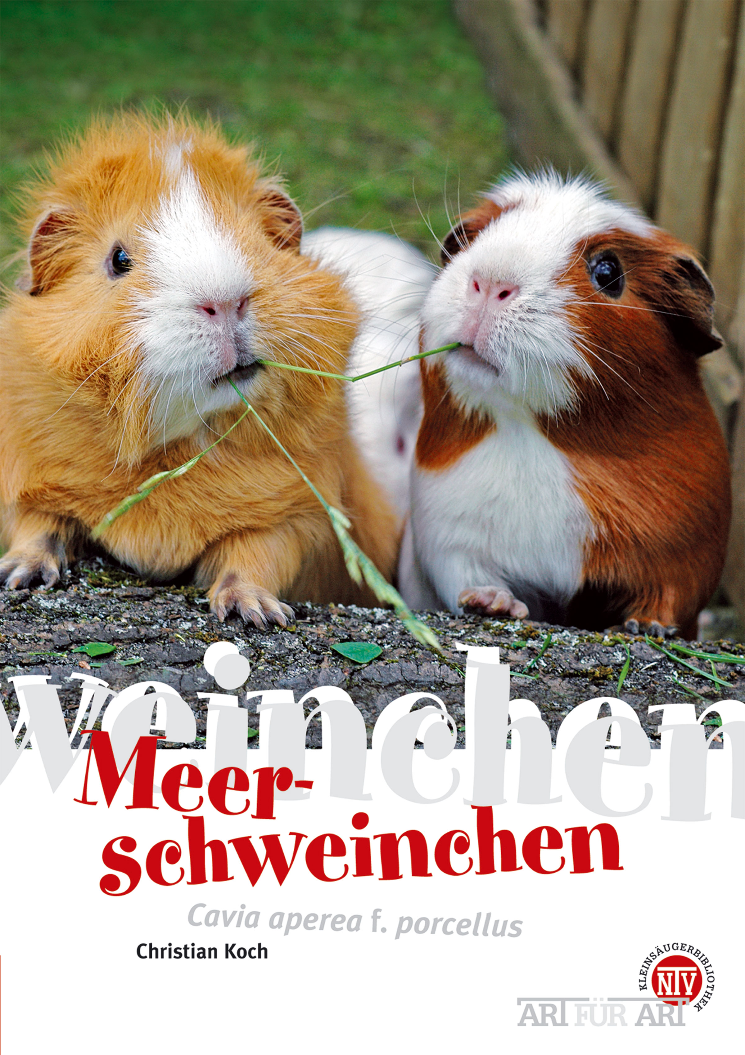Обложка книги «Meerschweinchen»