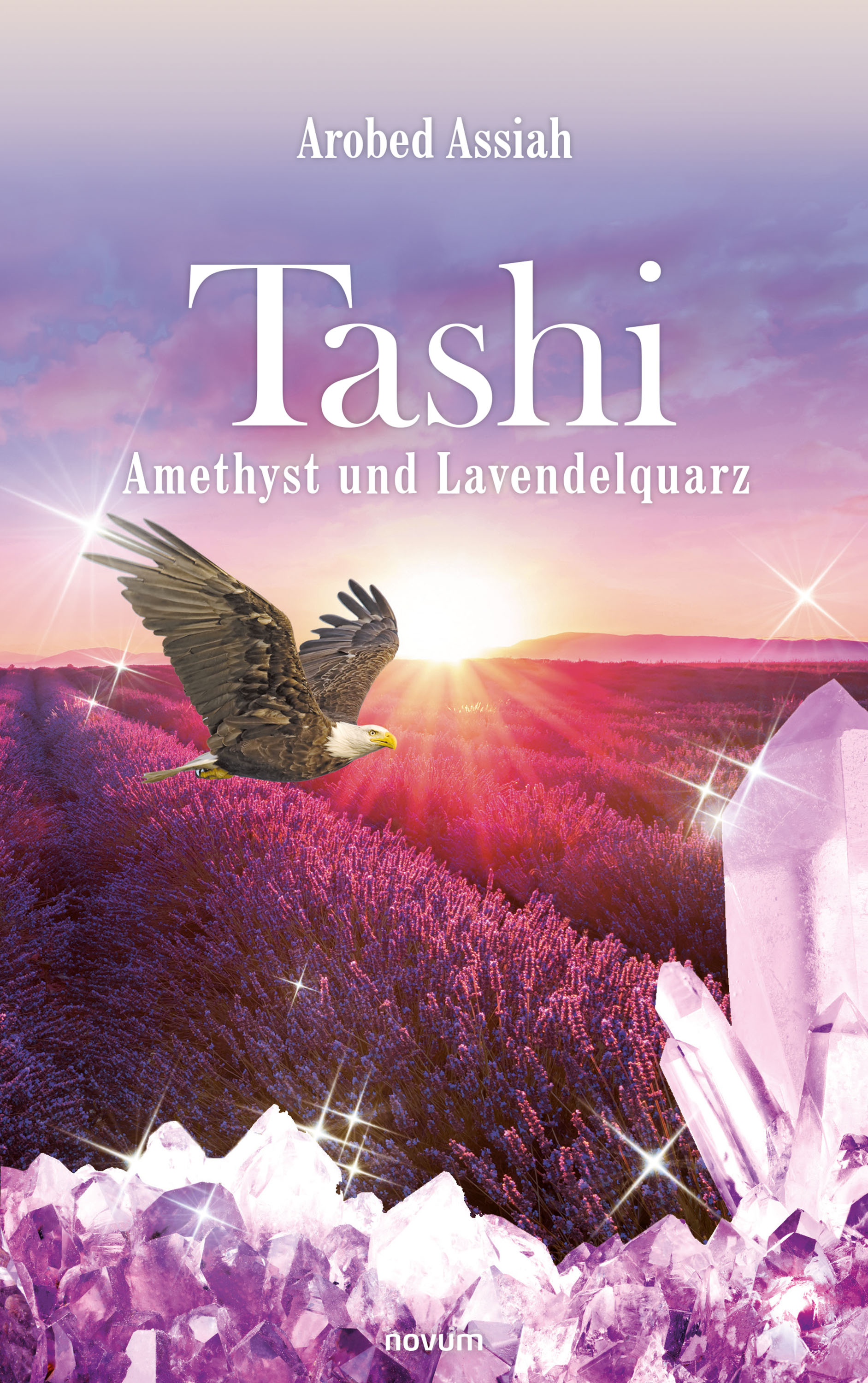 Обложка книги «Tashi - Amethyst und Lavendelquarz»