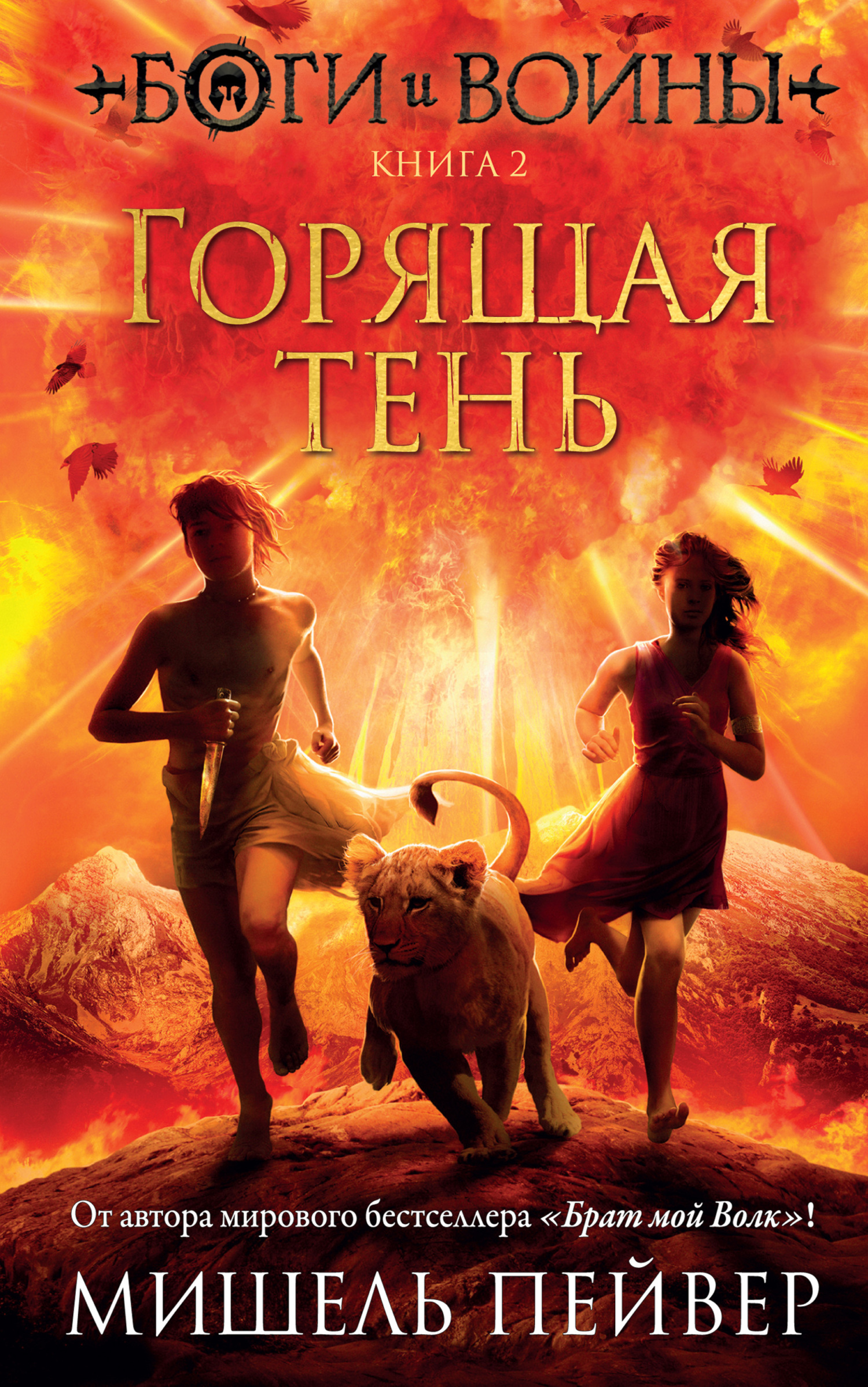 Обложка книги «Горящая тень»