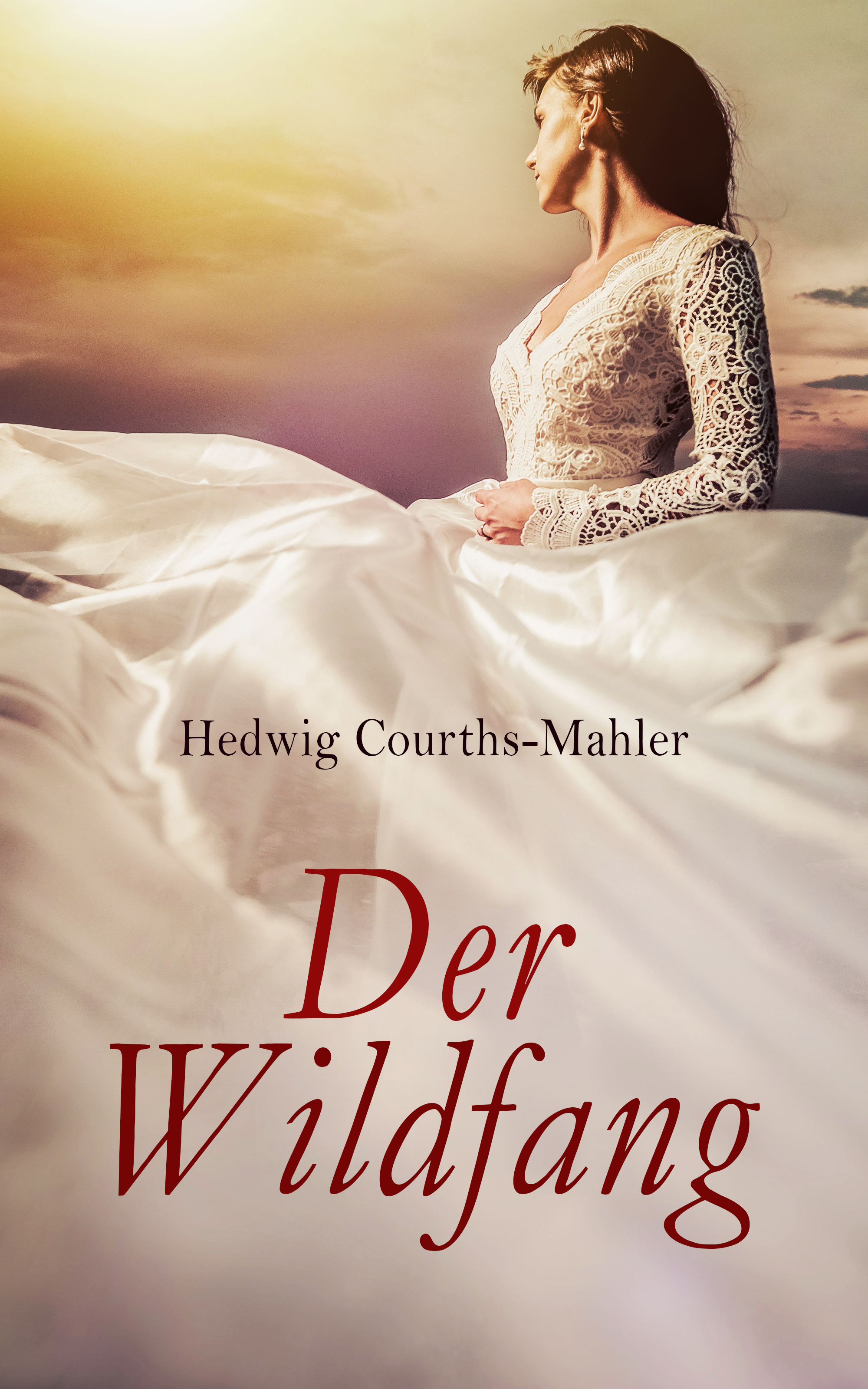 Обложка книги «Der Wildfang»