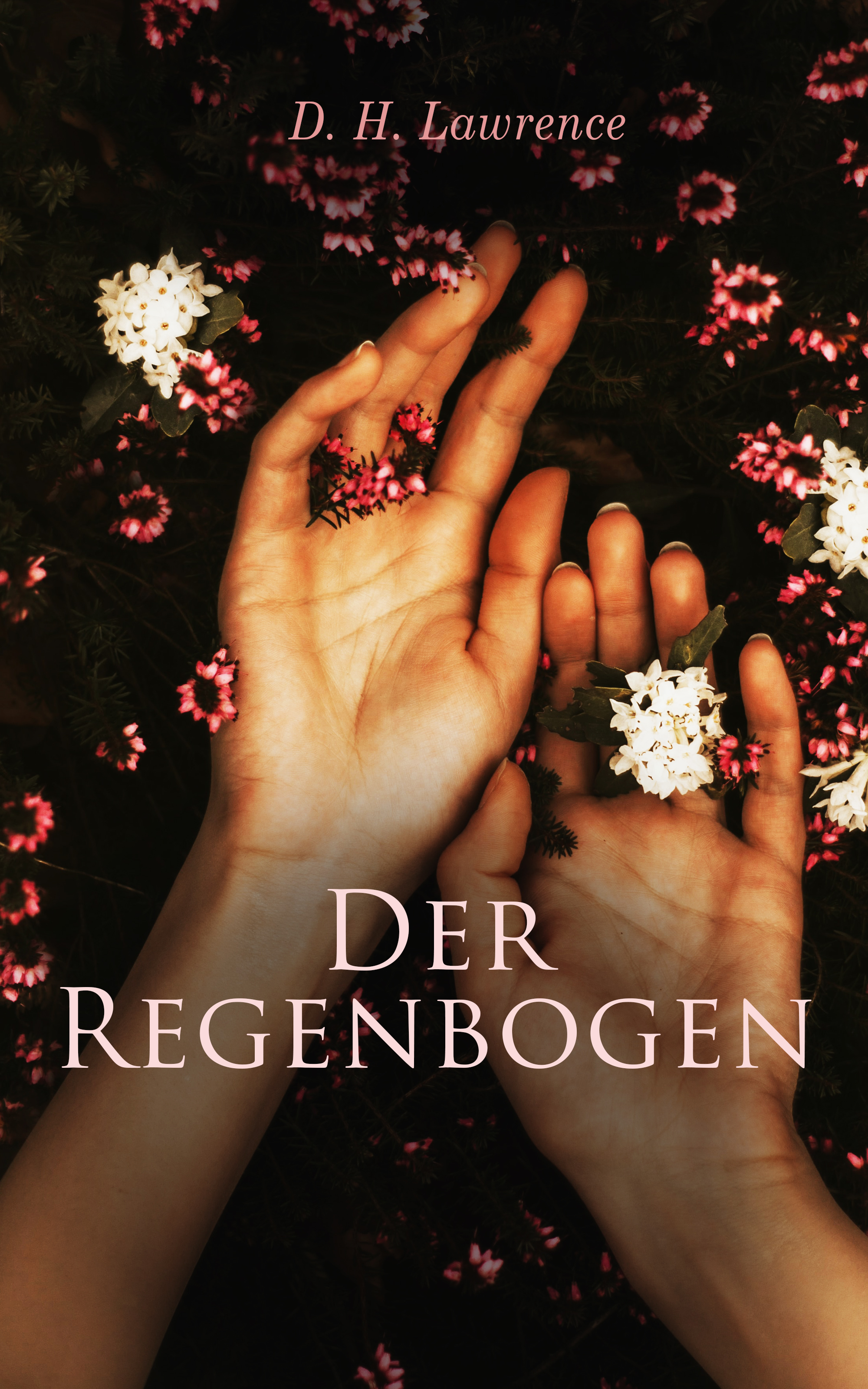 Обложка книги «Der Regenbogen»