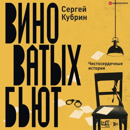 Обложка книги «Виноватых бьют»