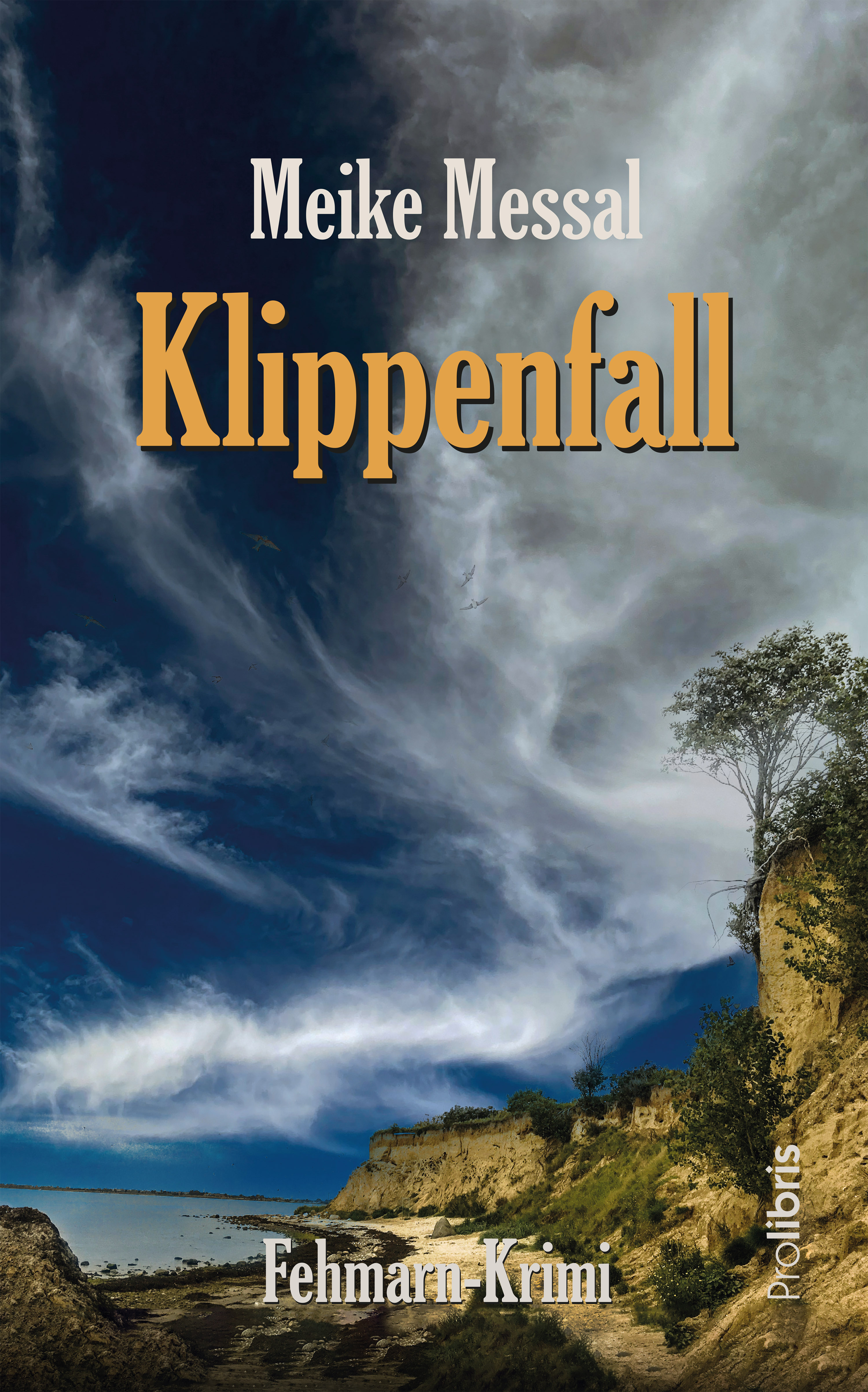 Обложка книги «Klippenfall»