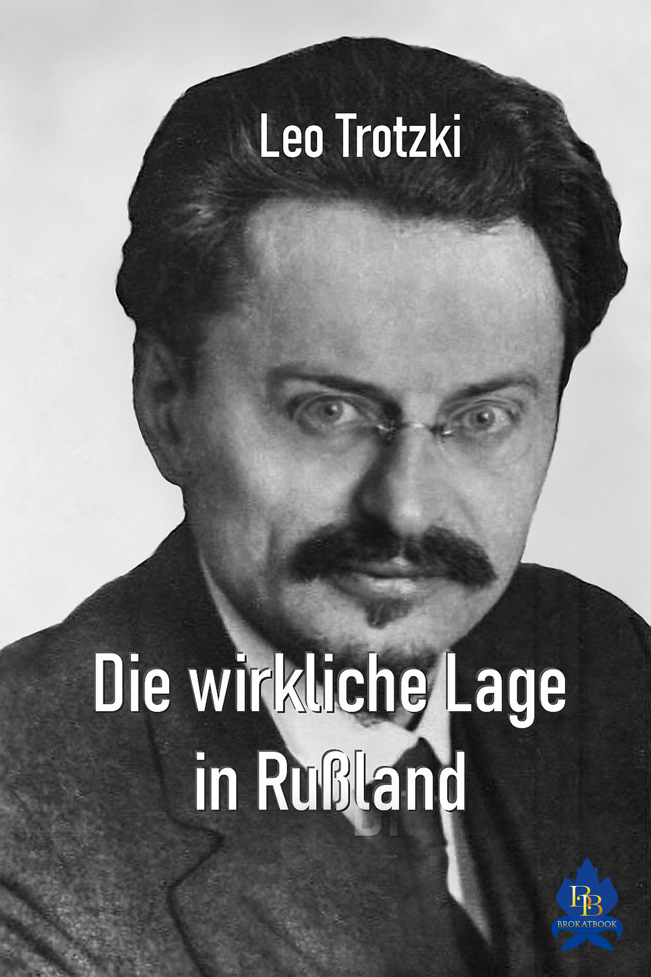 Обложка книги «Die wirkliche Lage in Rußland»