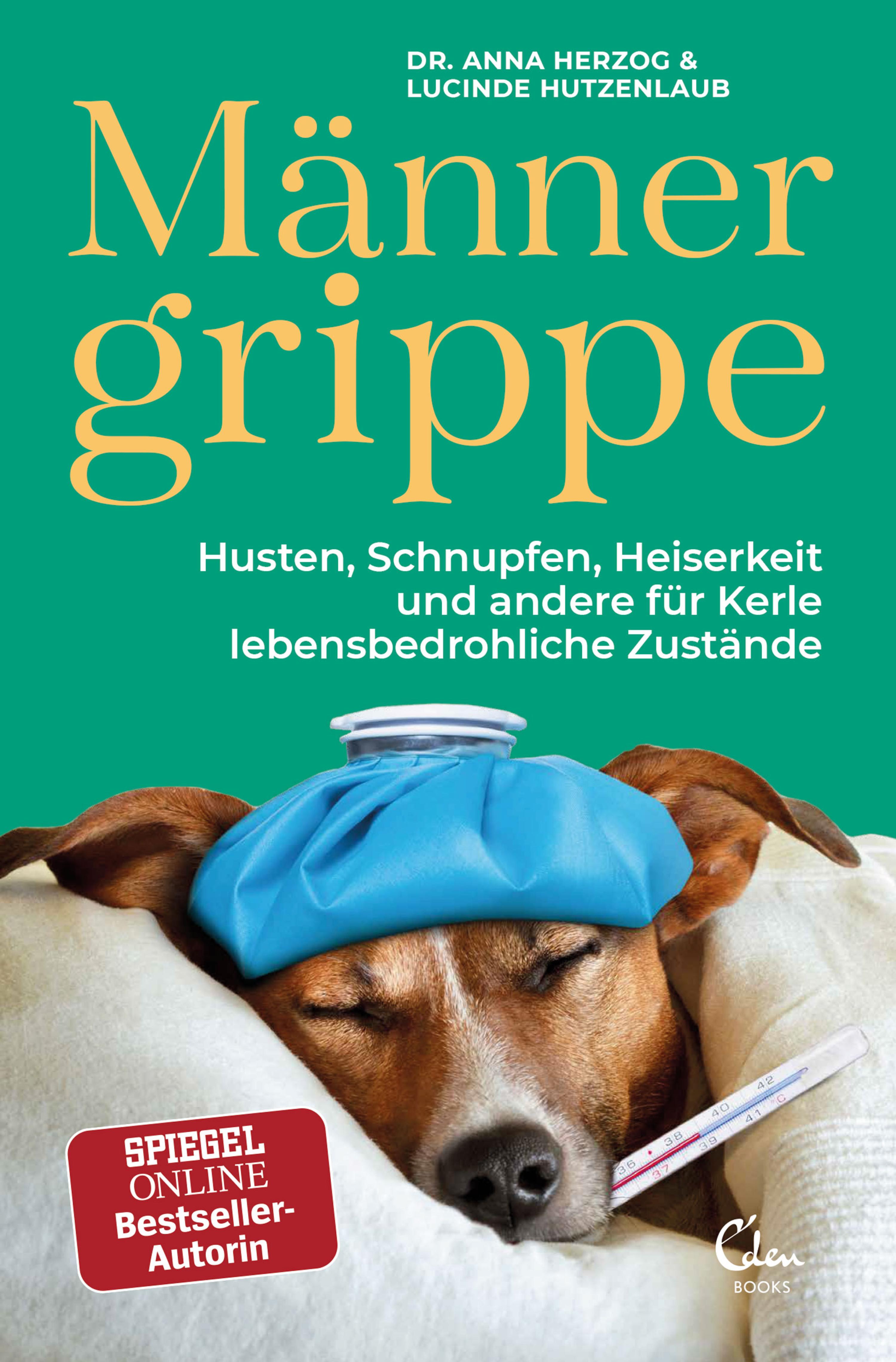 Обложка книги «Männergrippe»