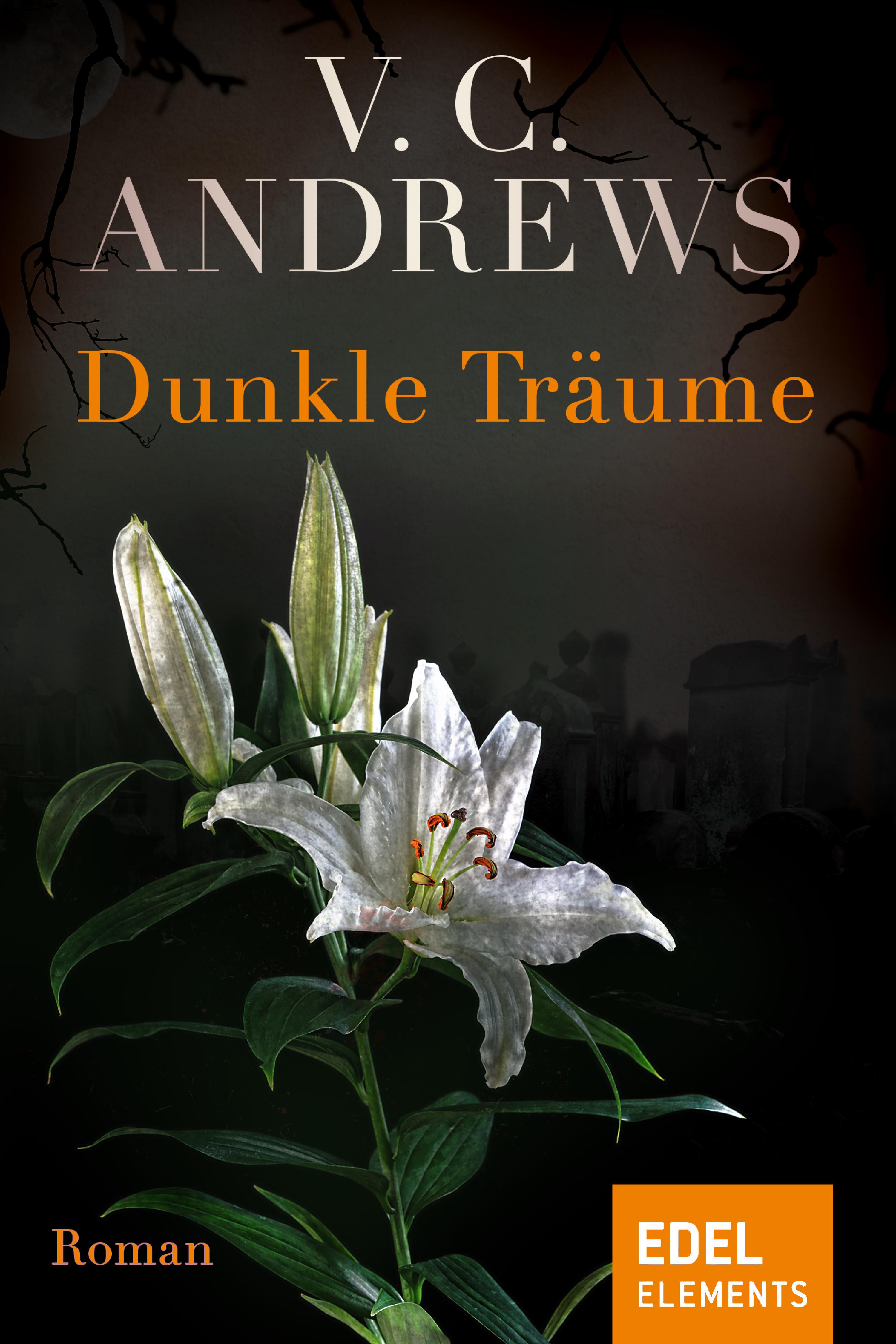 Обложка книги «Dunkle Träume»