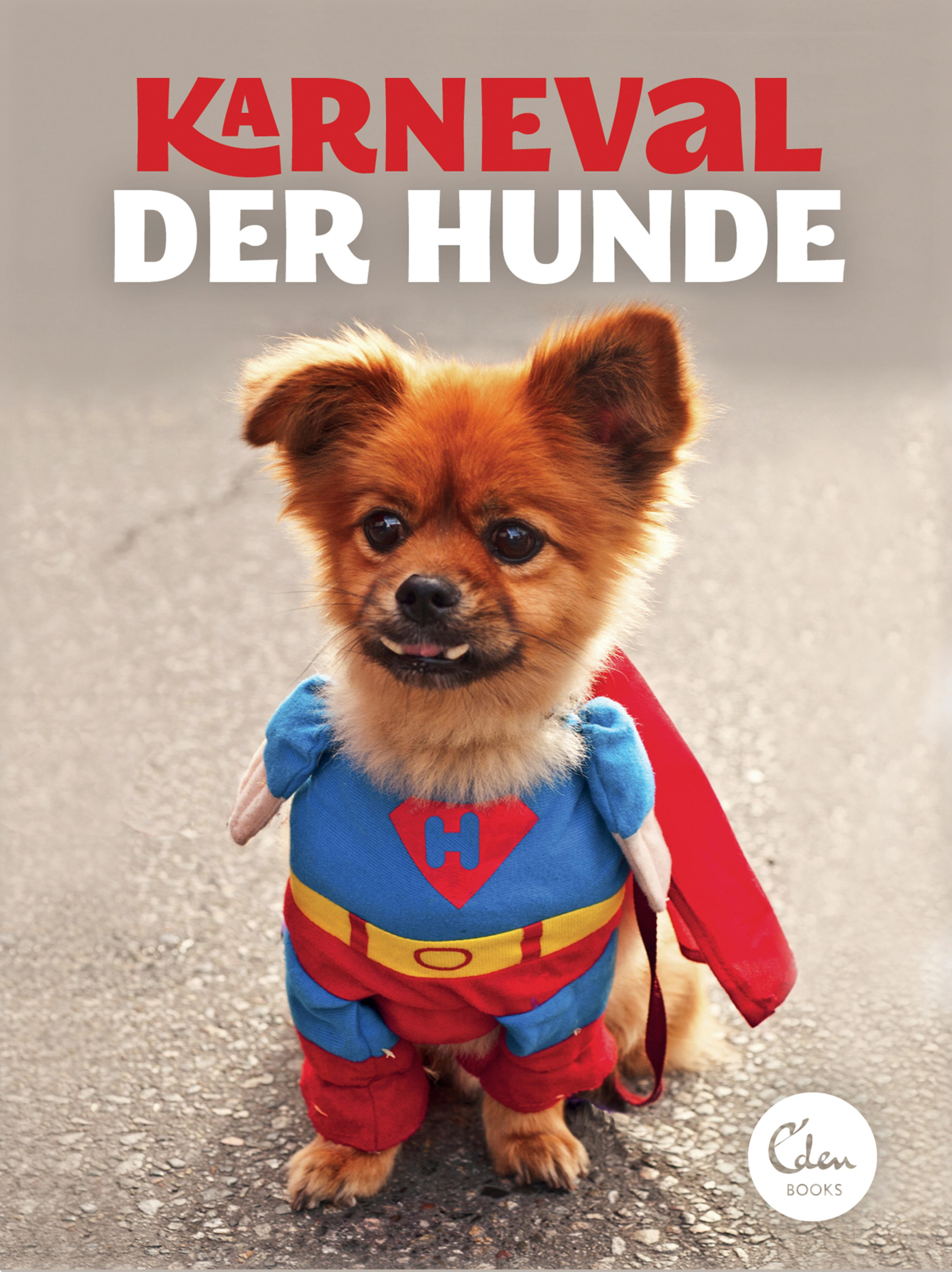 Обложка книги «Karneval der Hunde»