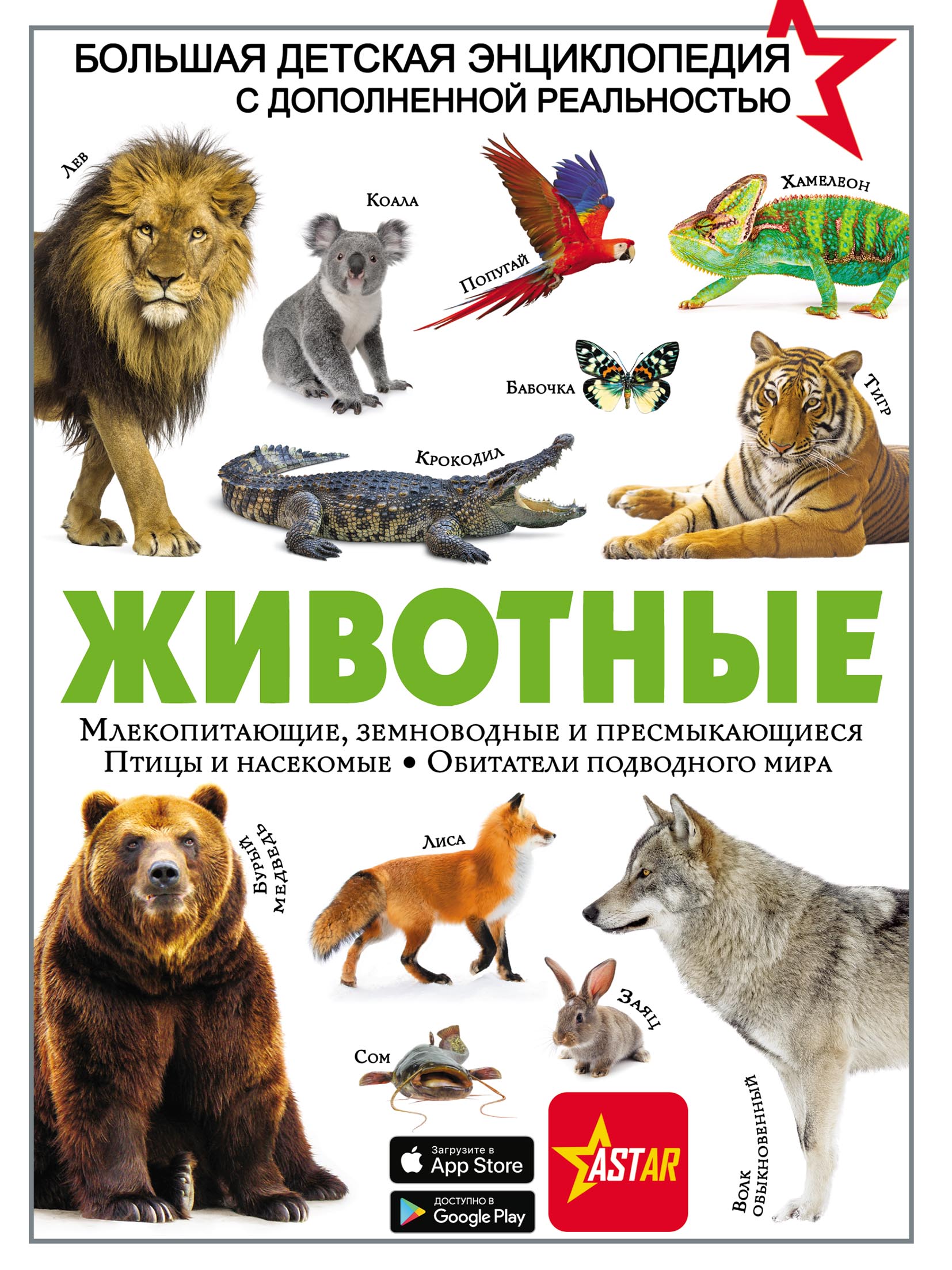 Обложка книги «Животные»