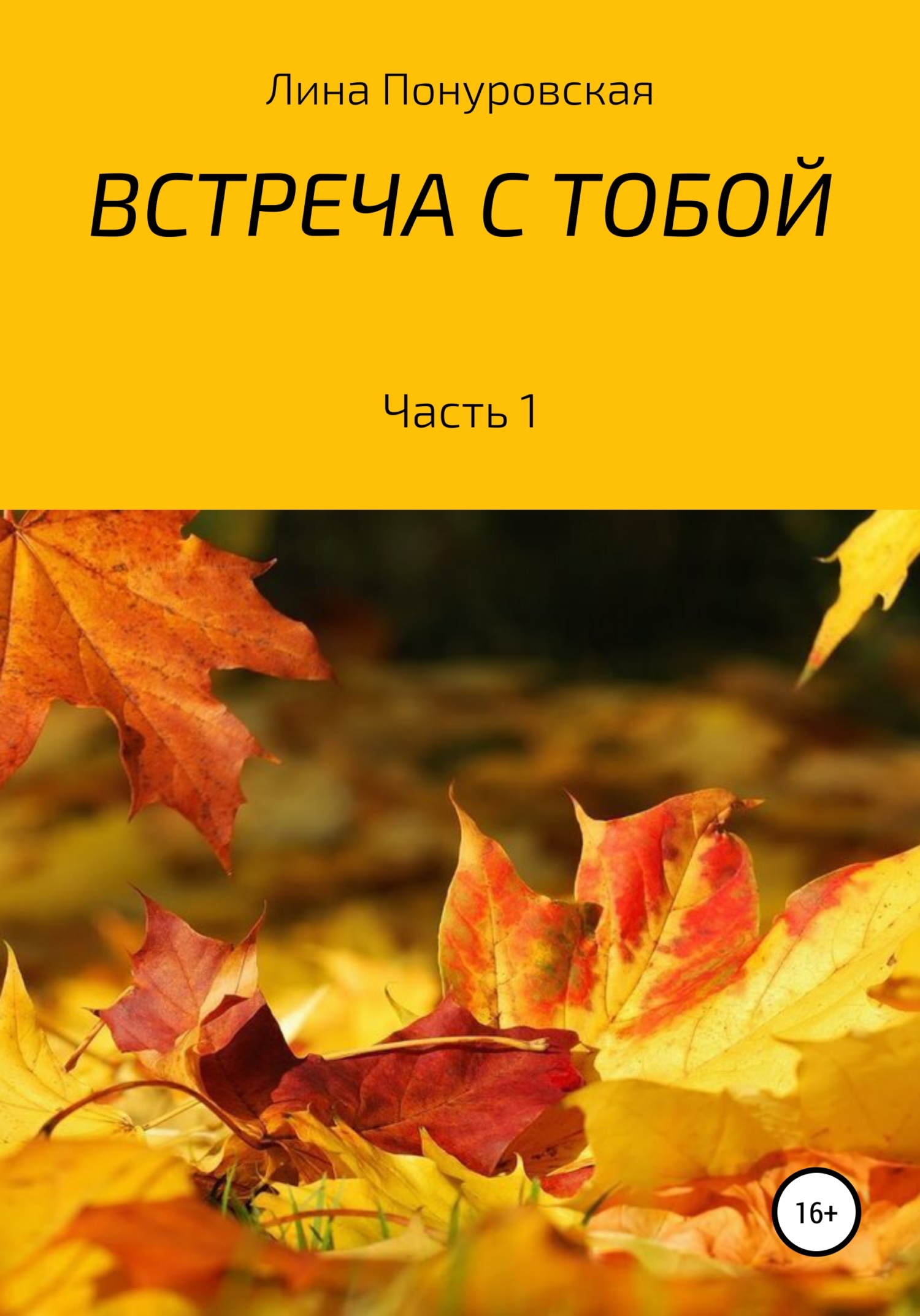 Обложка книги «Встреча с тобой. Часть 1»