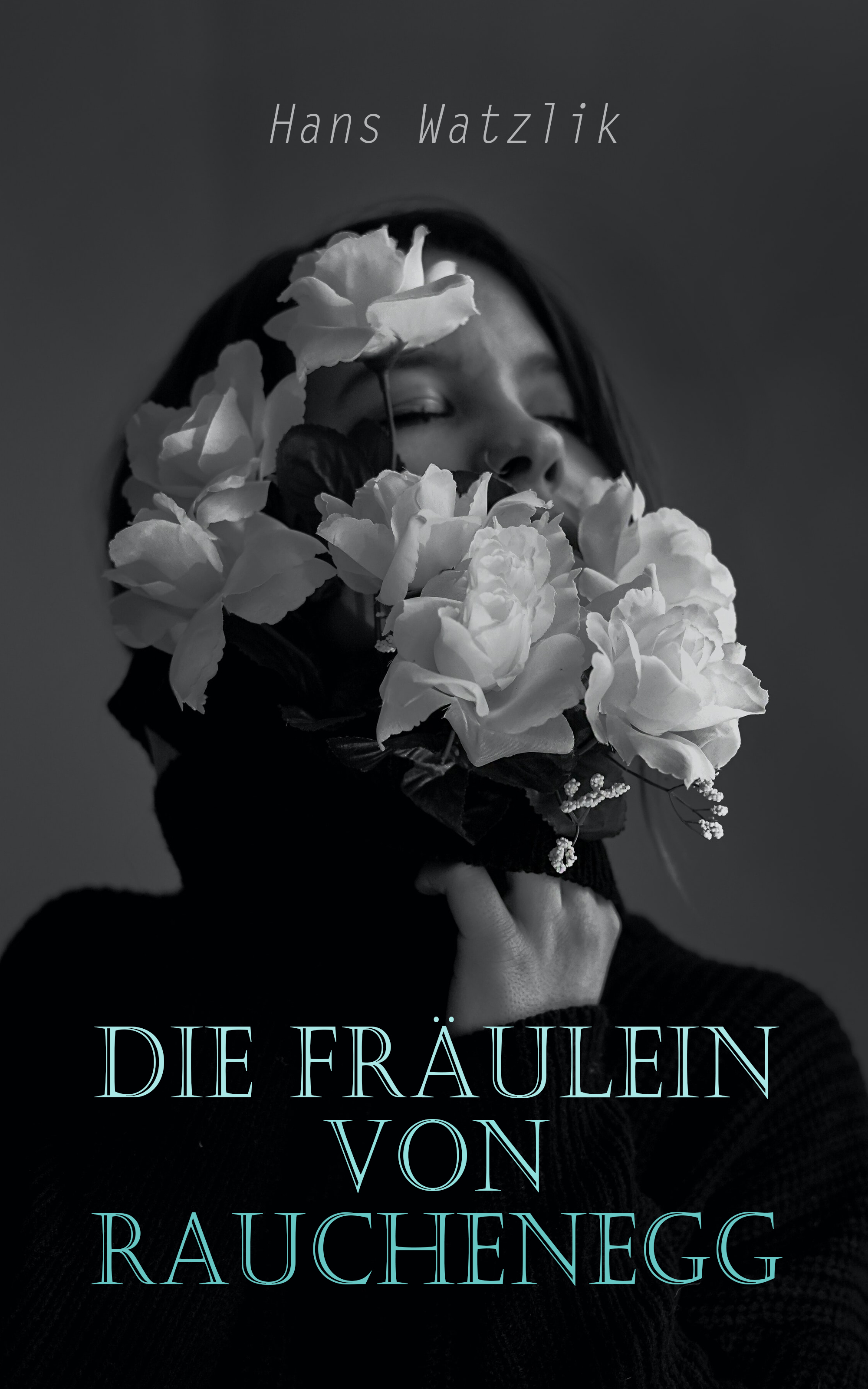 Обложка книги «Die Fräulein von Rauchenegg»
