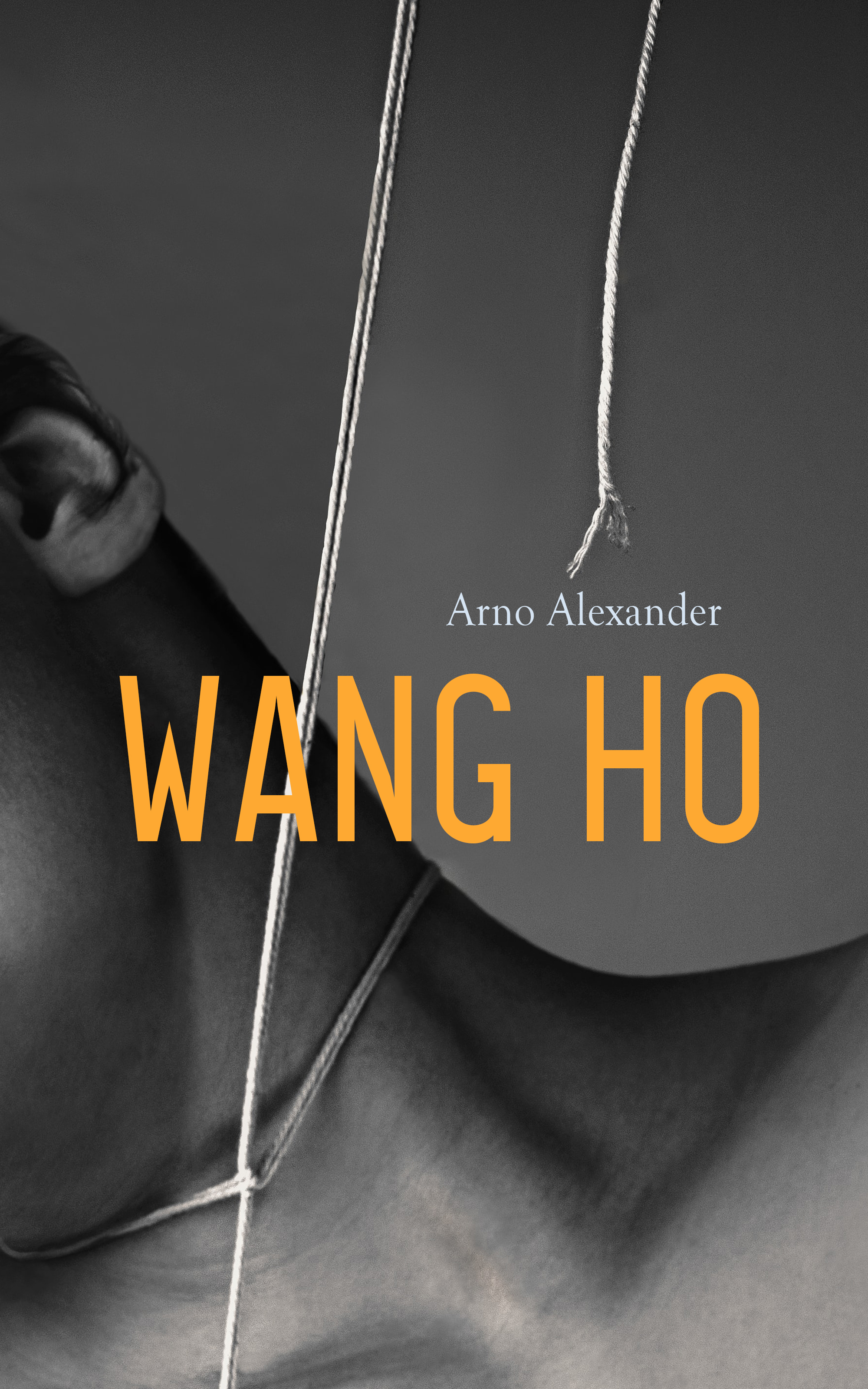 Обложка книги «Wang Ho»