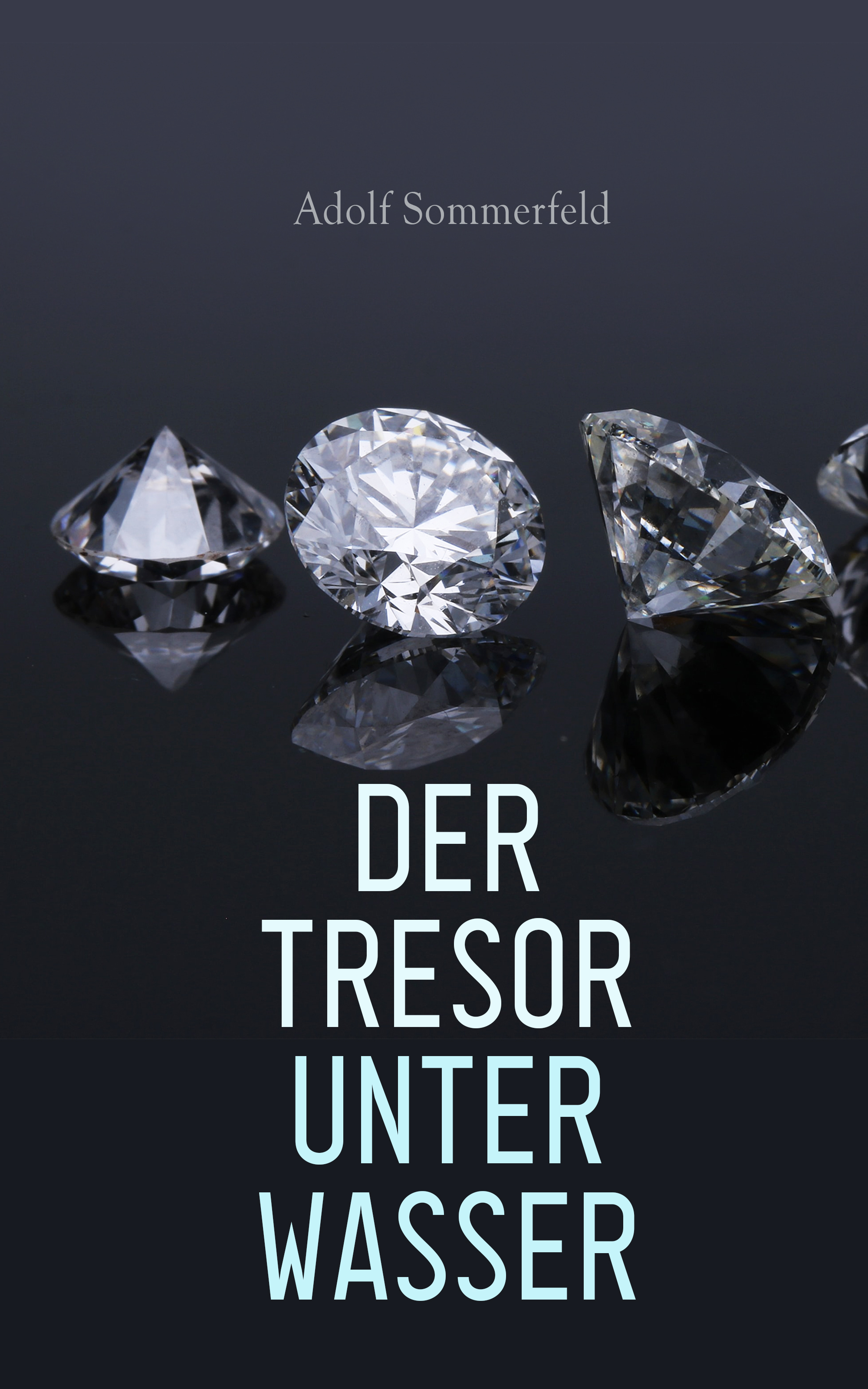 Обложка книги «Der Tresor unter Wasser»