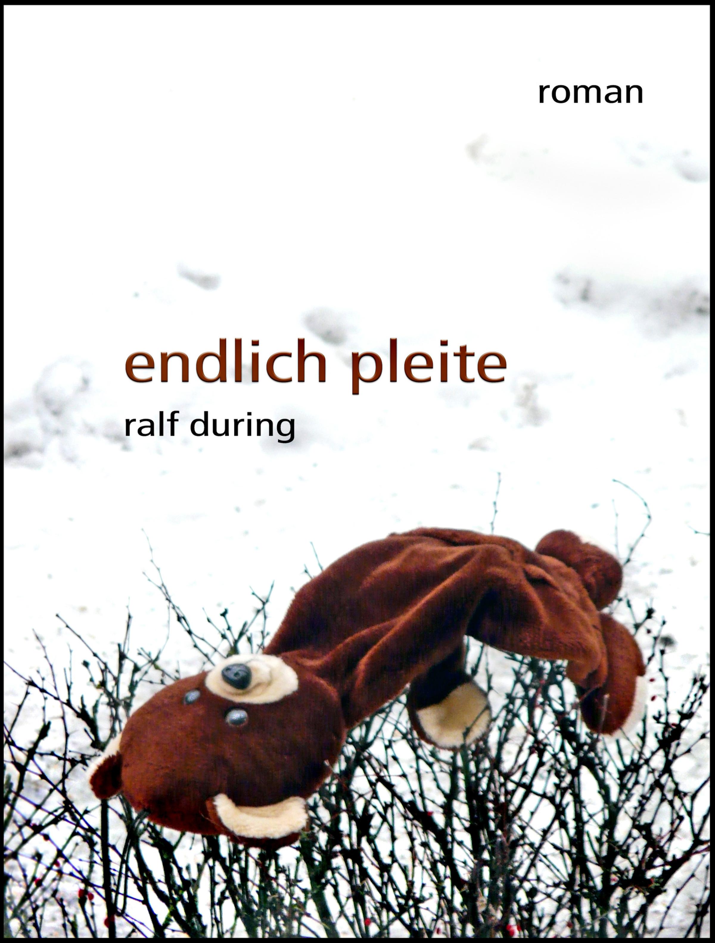 Обложка книги «endlich pleite»