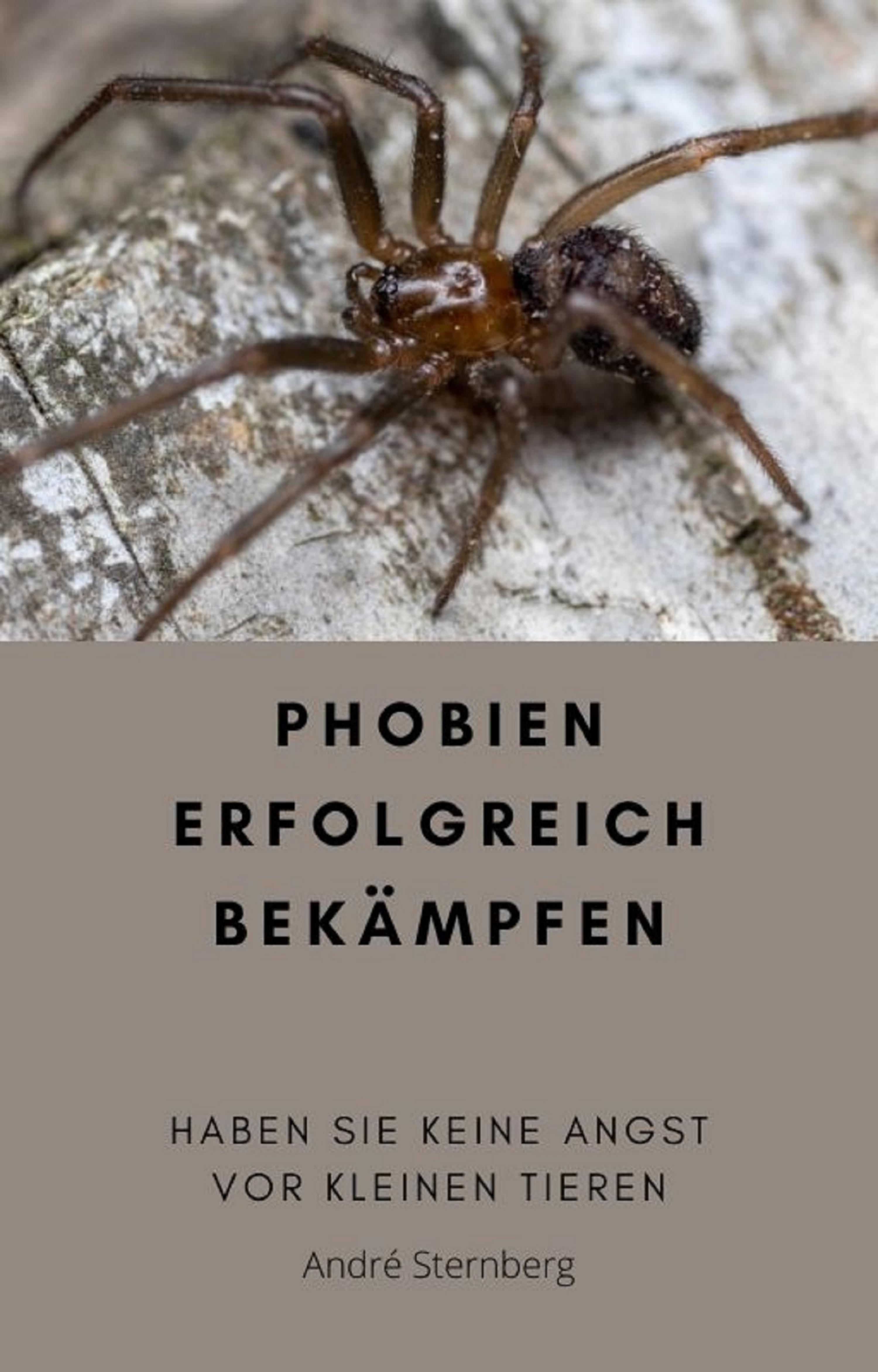 Обложка книги «Phobien erfolgreich bekämpfen»