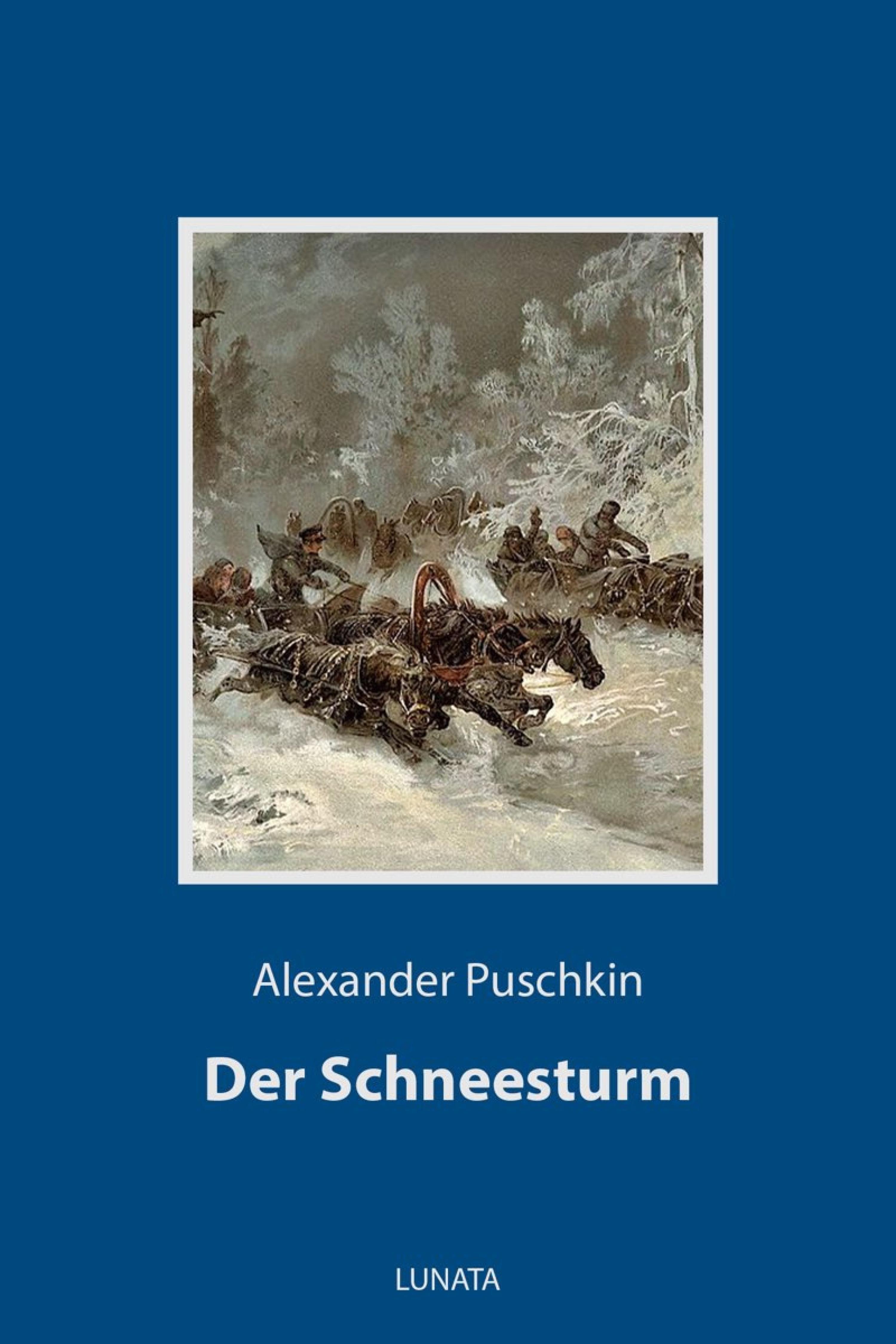 Обложка книги «Der Schneesturm»