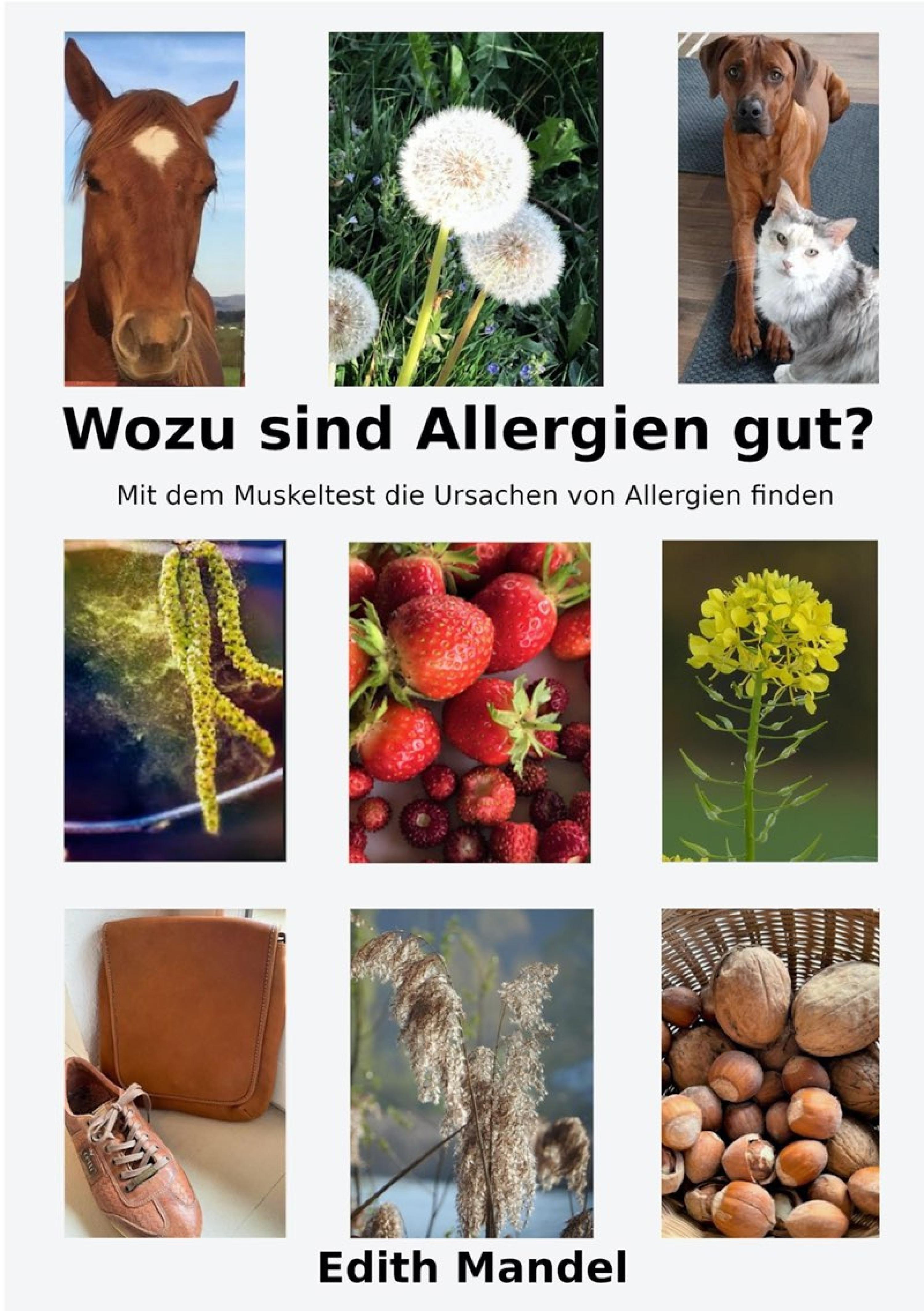 Обложка книги «Wozu sind Allergien gut?»