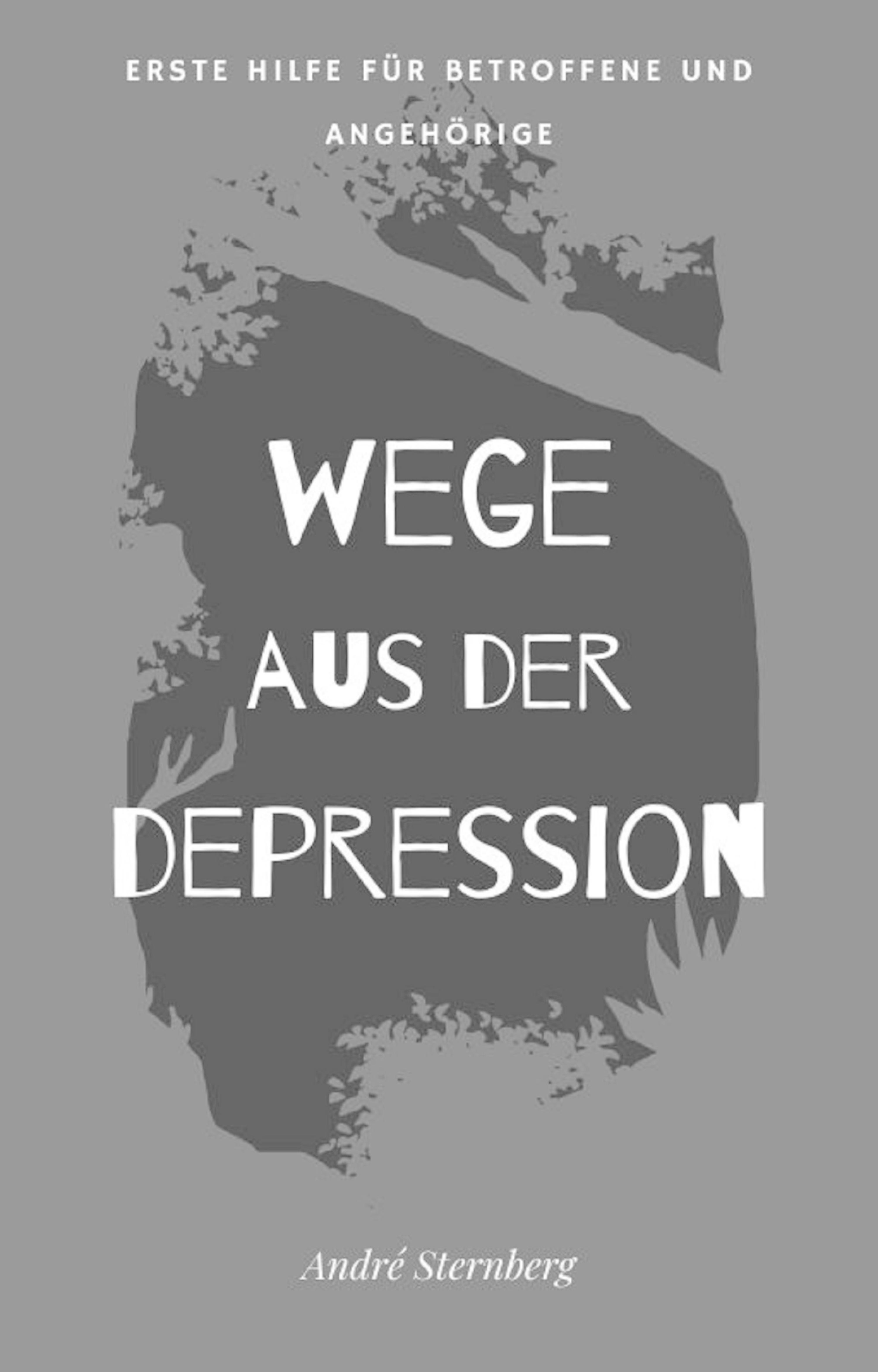 Обложка книги «Wege aus der Depression»