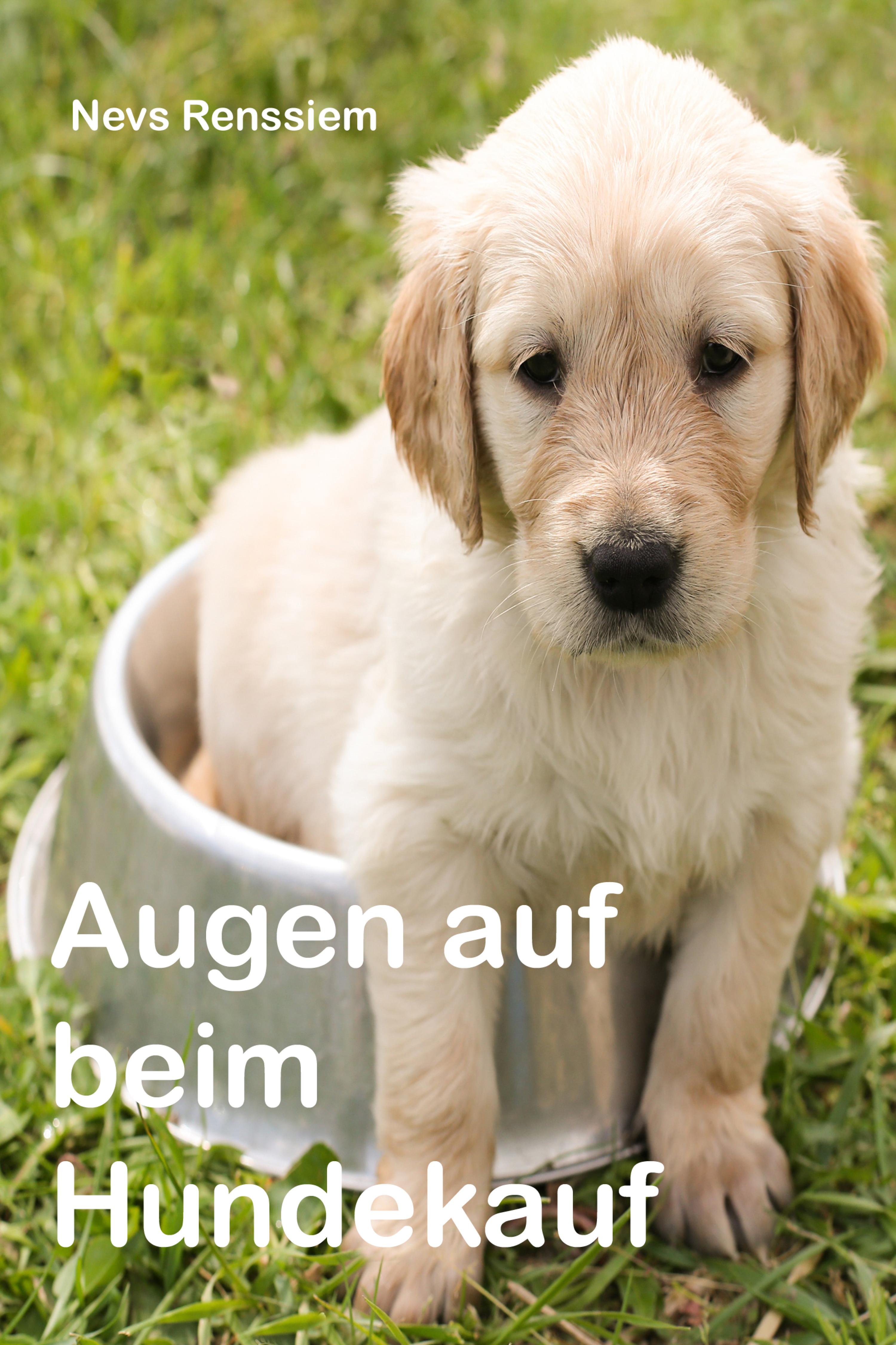 Обложка книги «Augen auf beim Hundekauf»