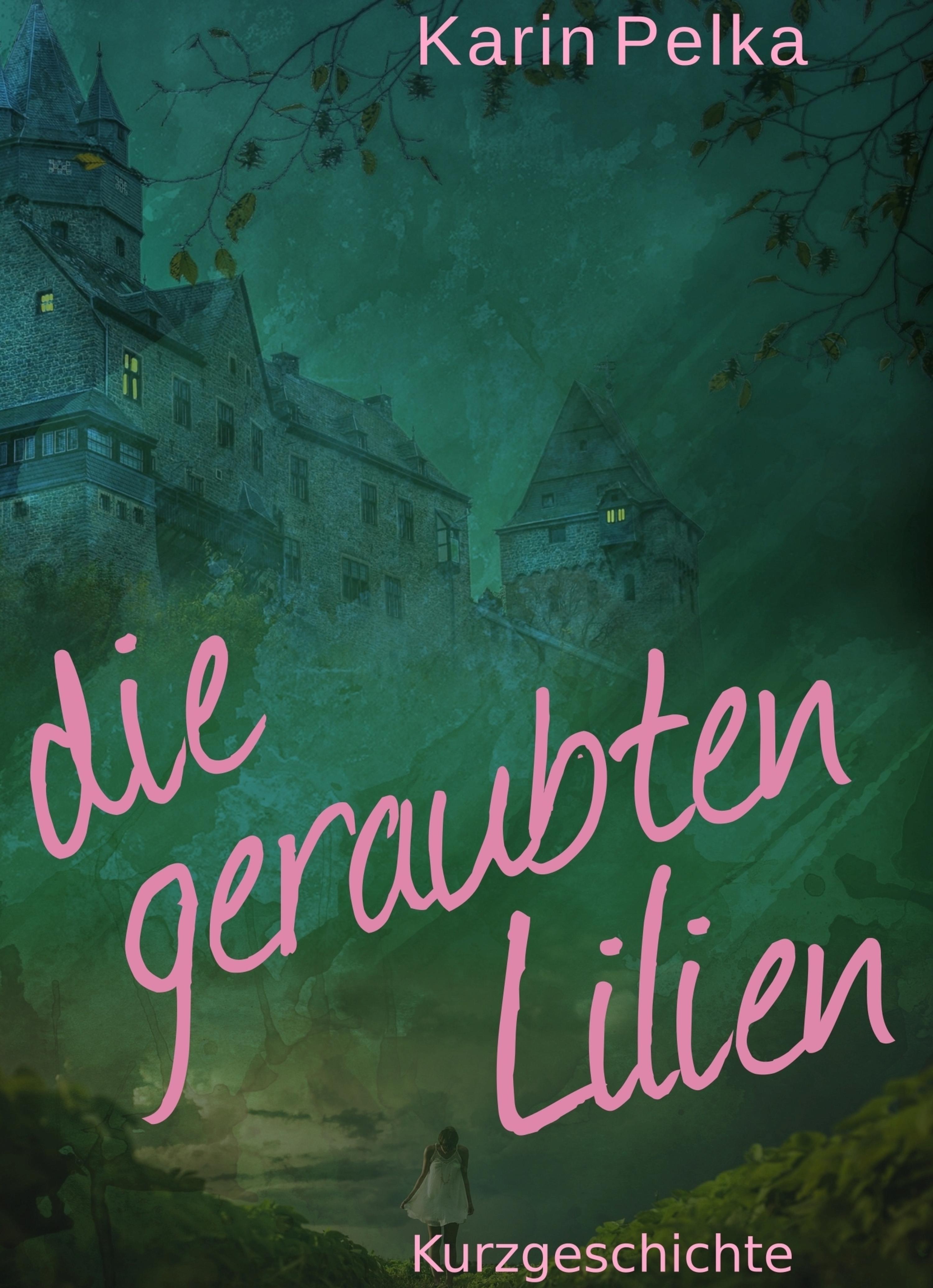 Обложка книги «Die geraubten Lilien»
