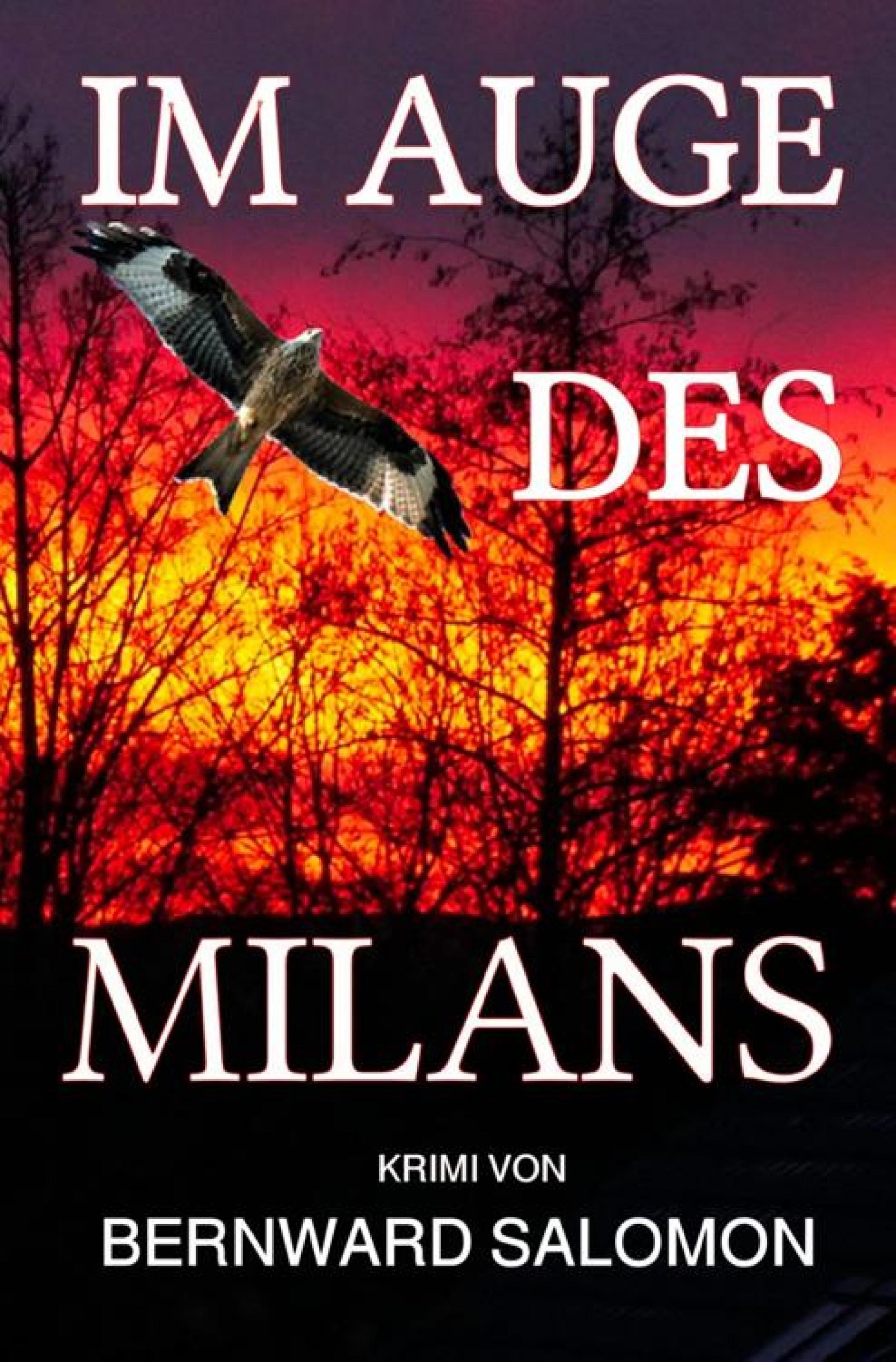 Обложка книги «Im Auge des Milans»