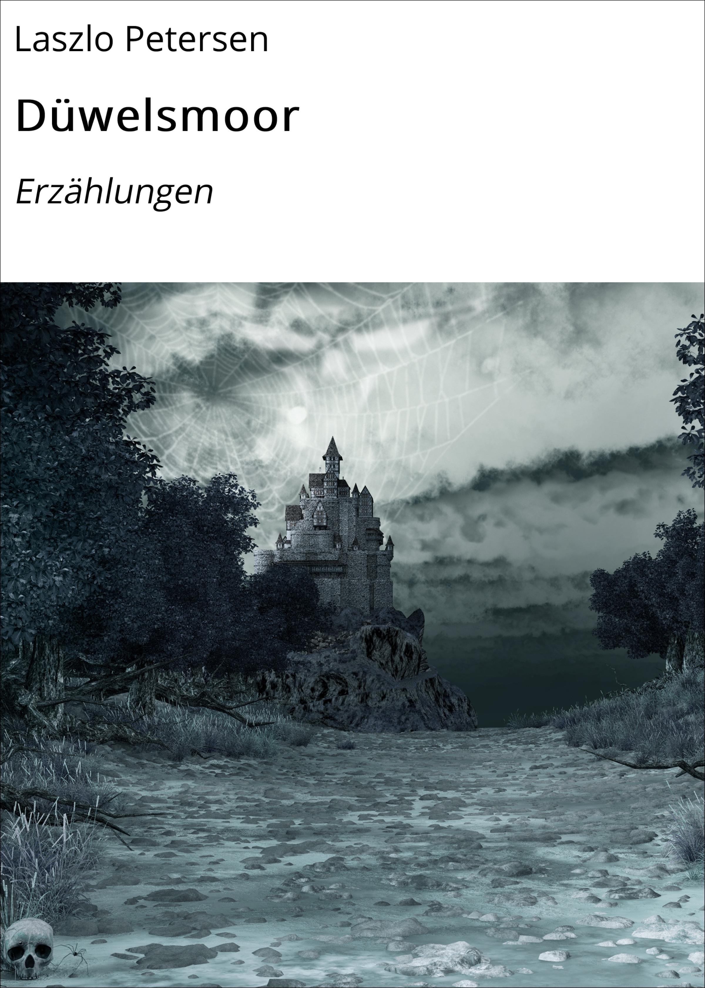 Обложка книги «Düwelsmoor»