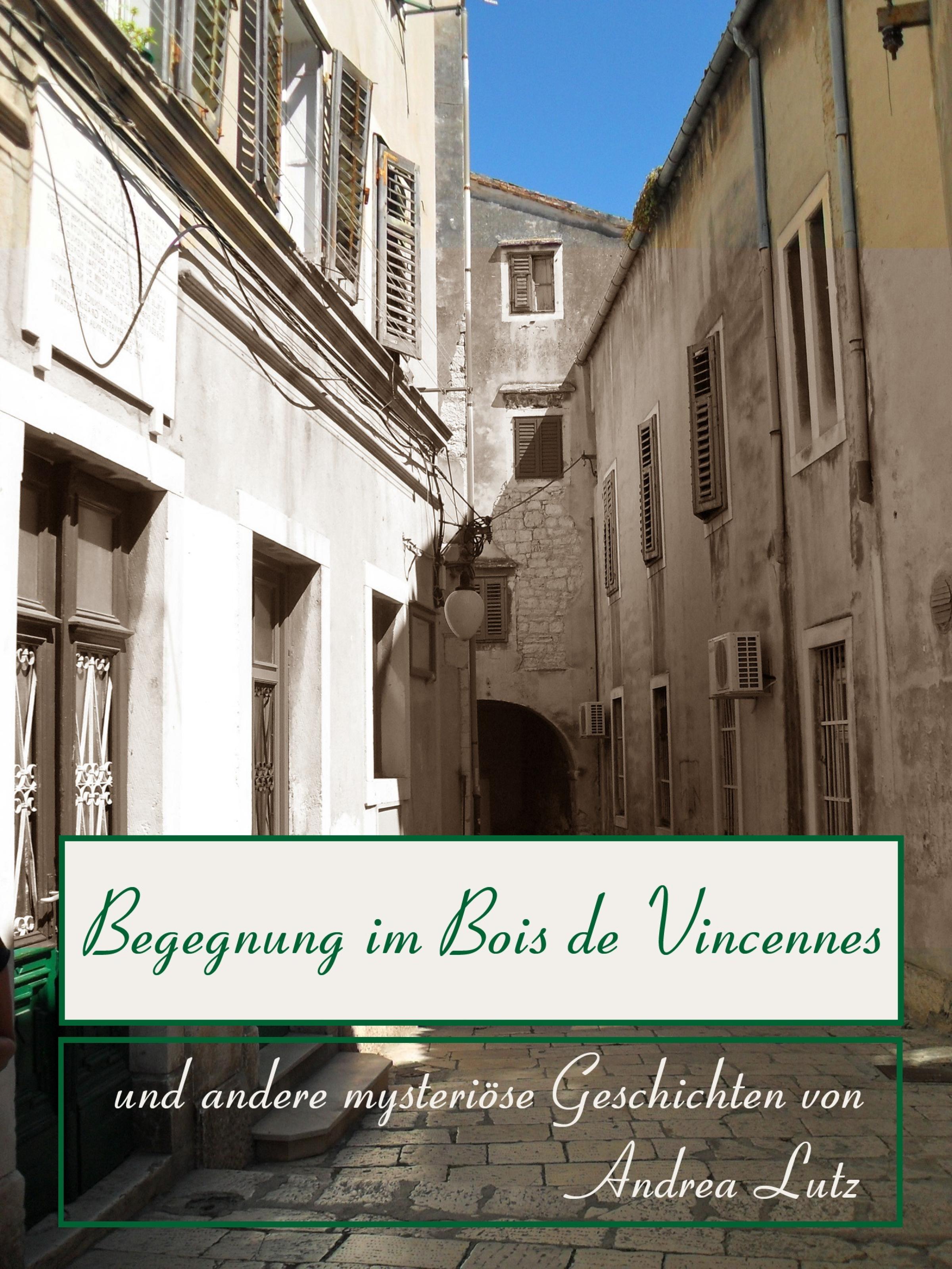 Обложка книги «Begegnung im Bois de Vincennes»
