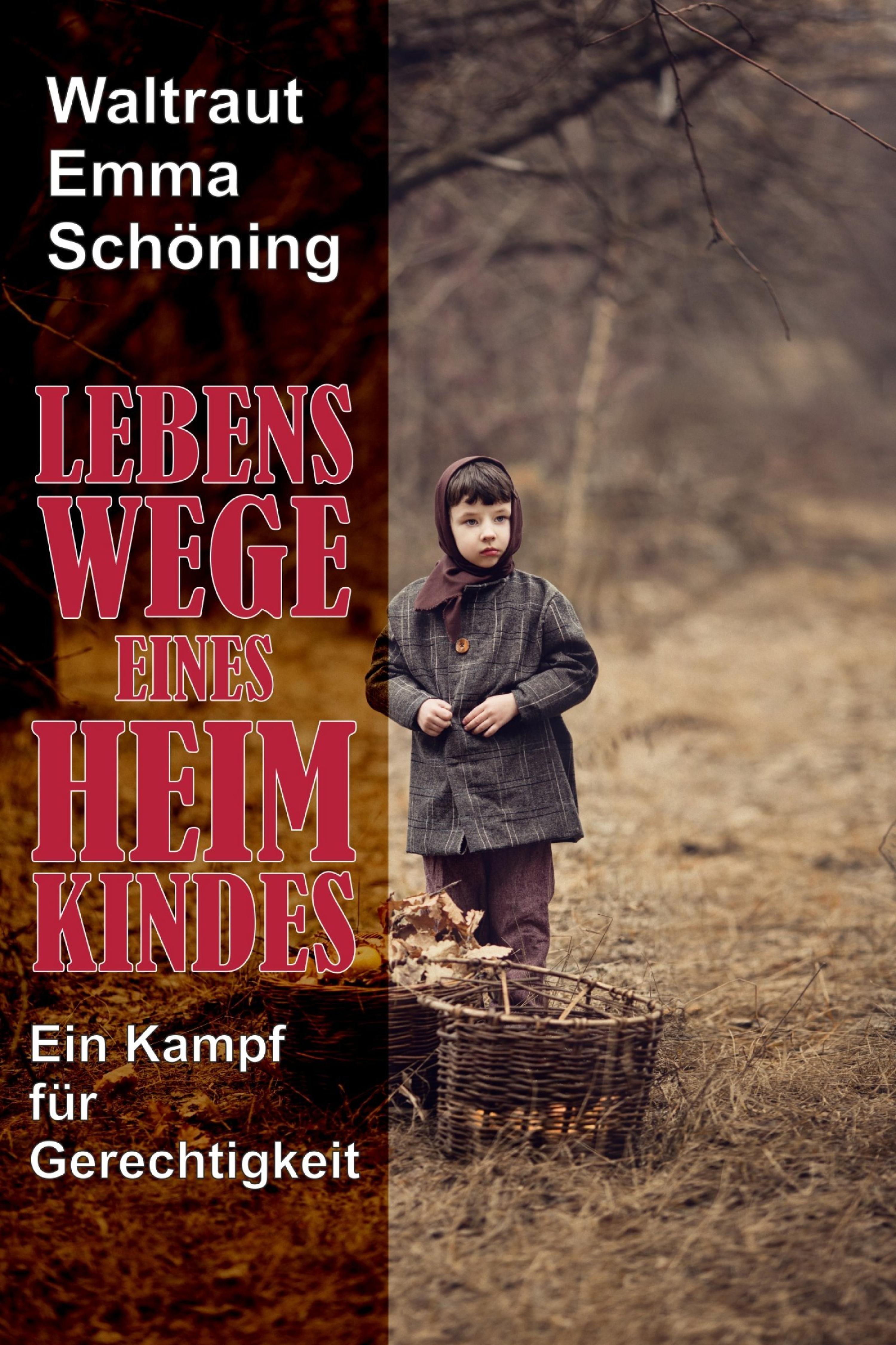 Обложка книги «Lebenswege eines Heimkindes»
