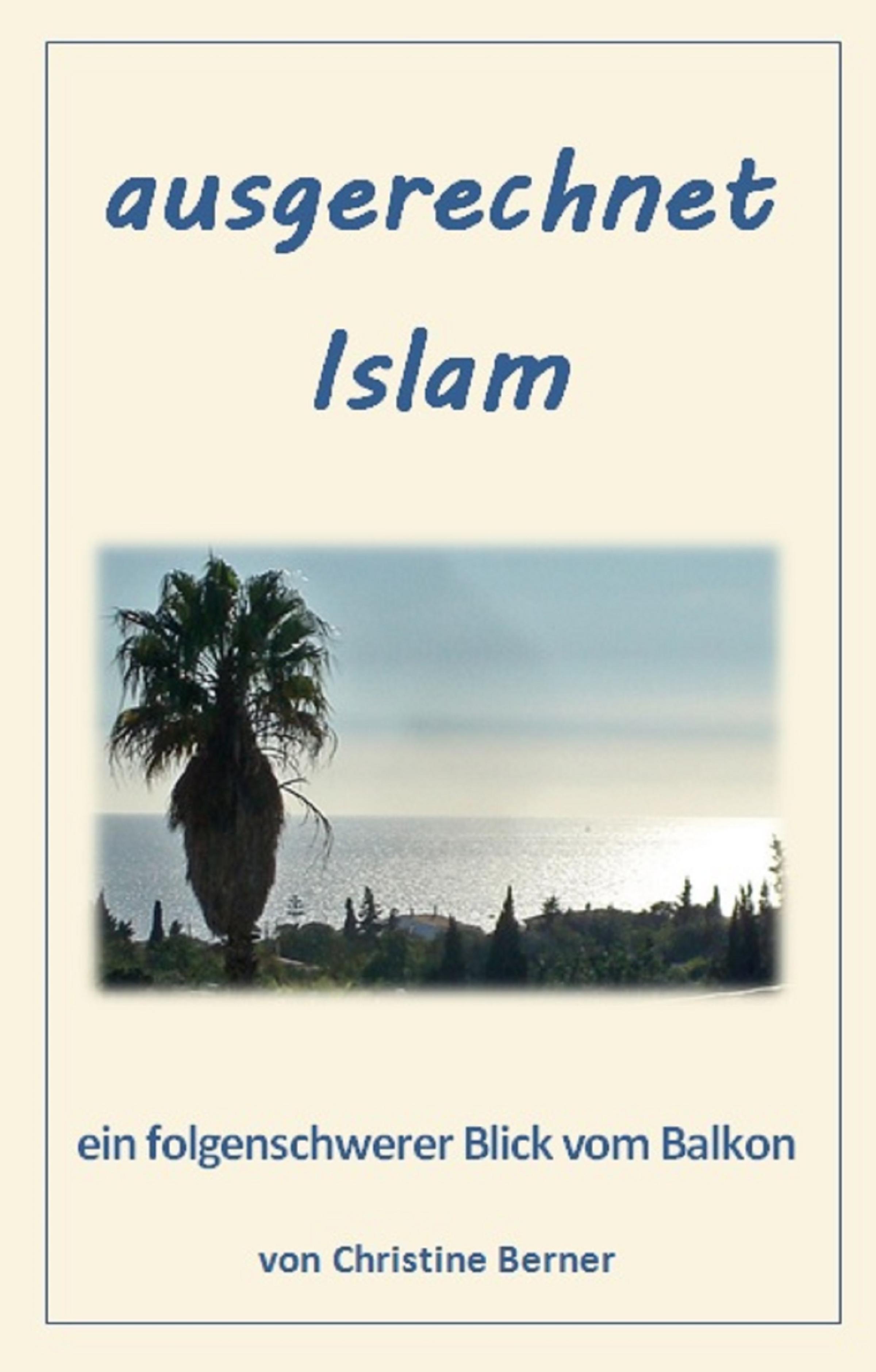 Обложка книги «ausgerechnet Islam»