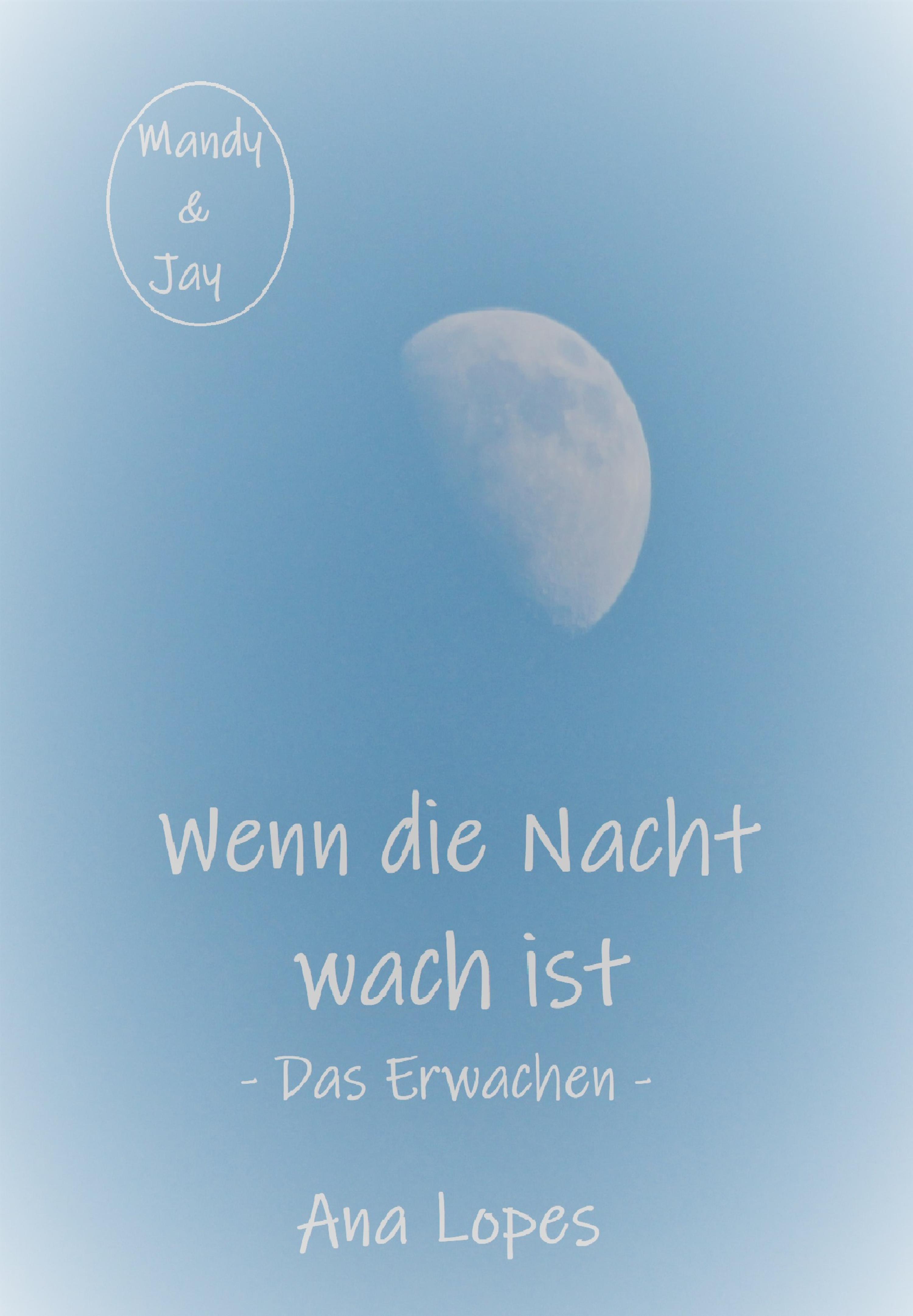 Обложка книги «Das Erwachen»