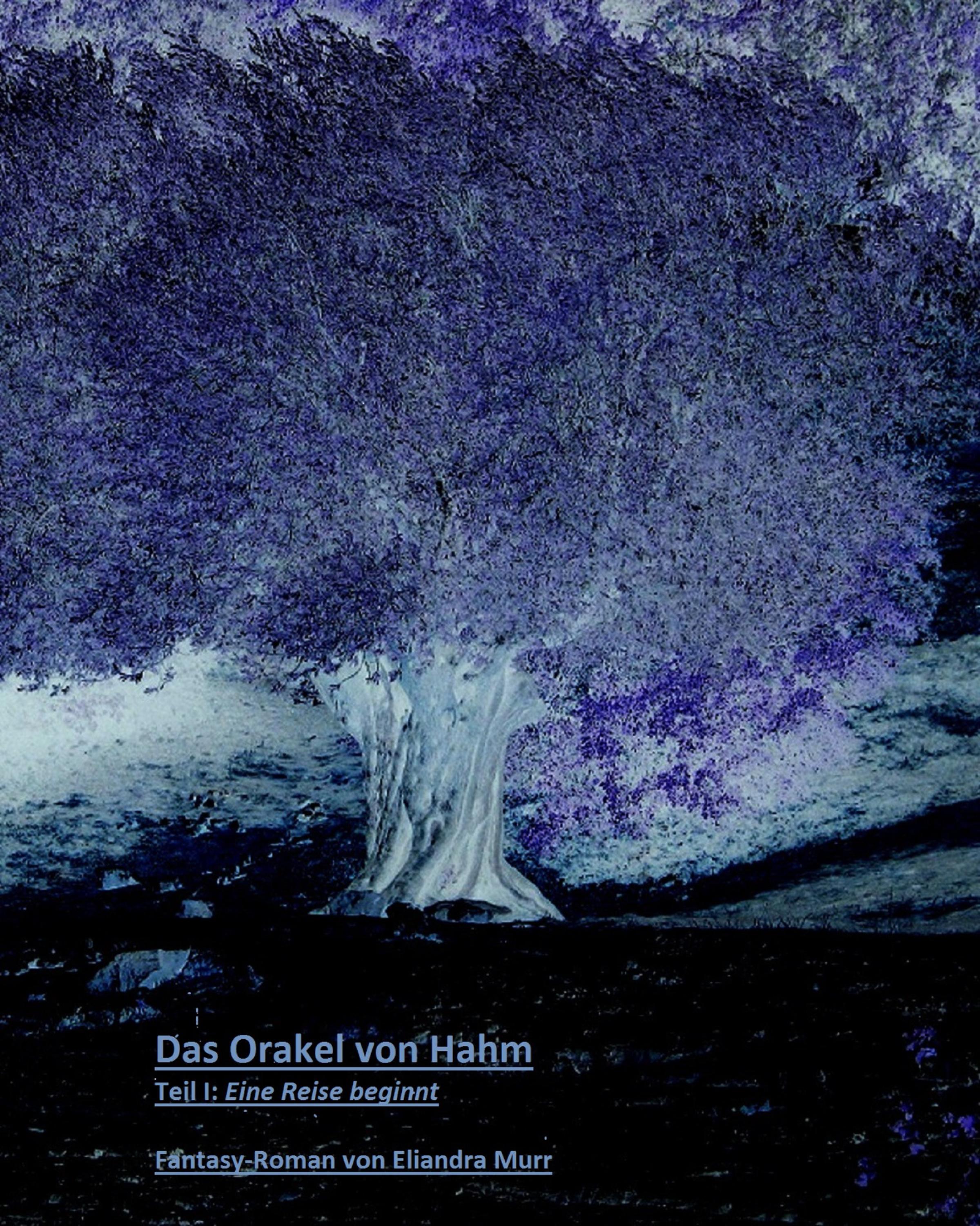 Обложка книги «Das Orakel von Hahm»