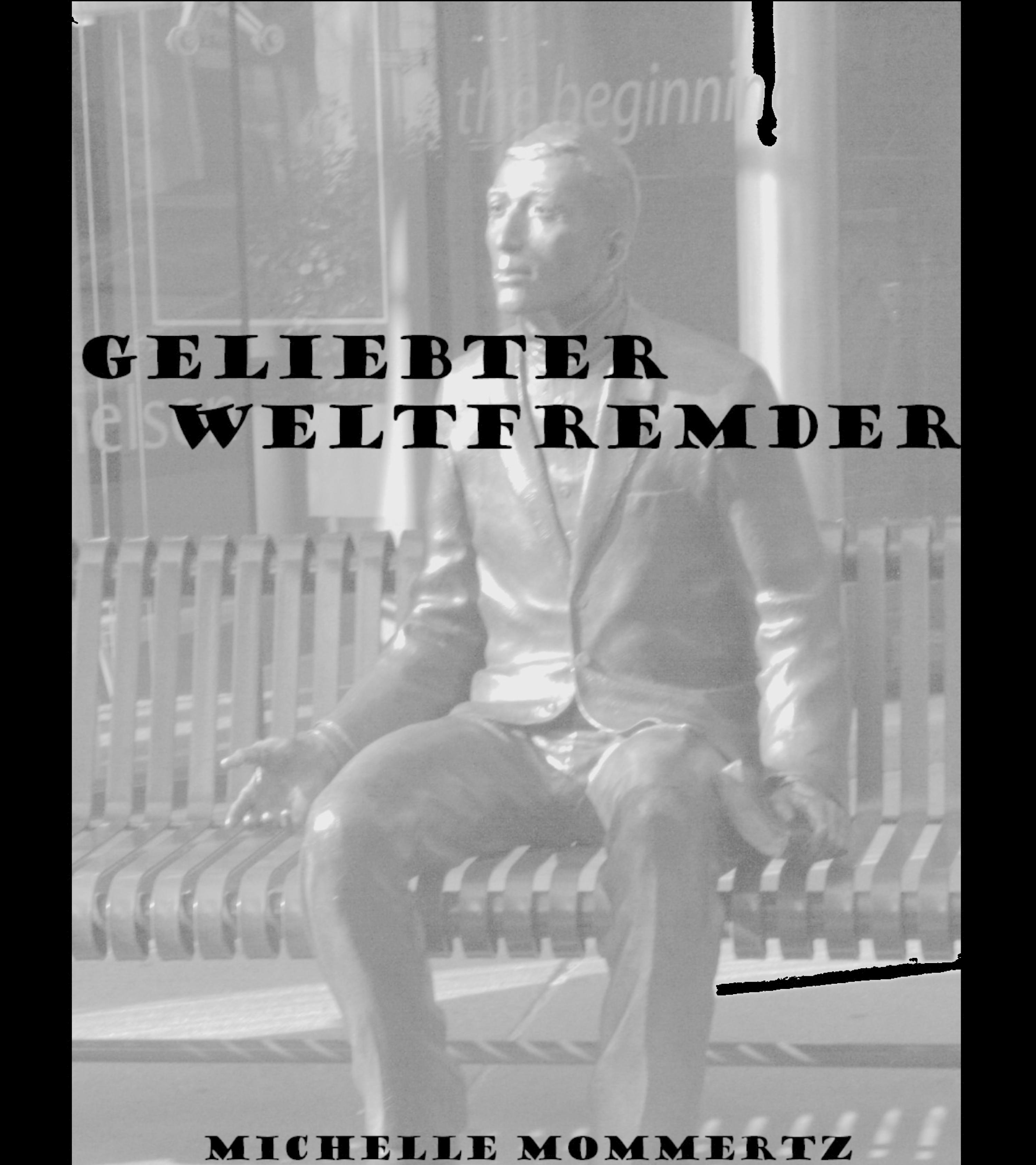 Обложка книги «Geliebter Weltfremder»