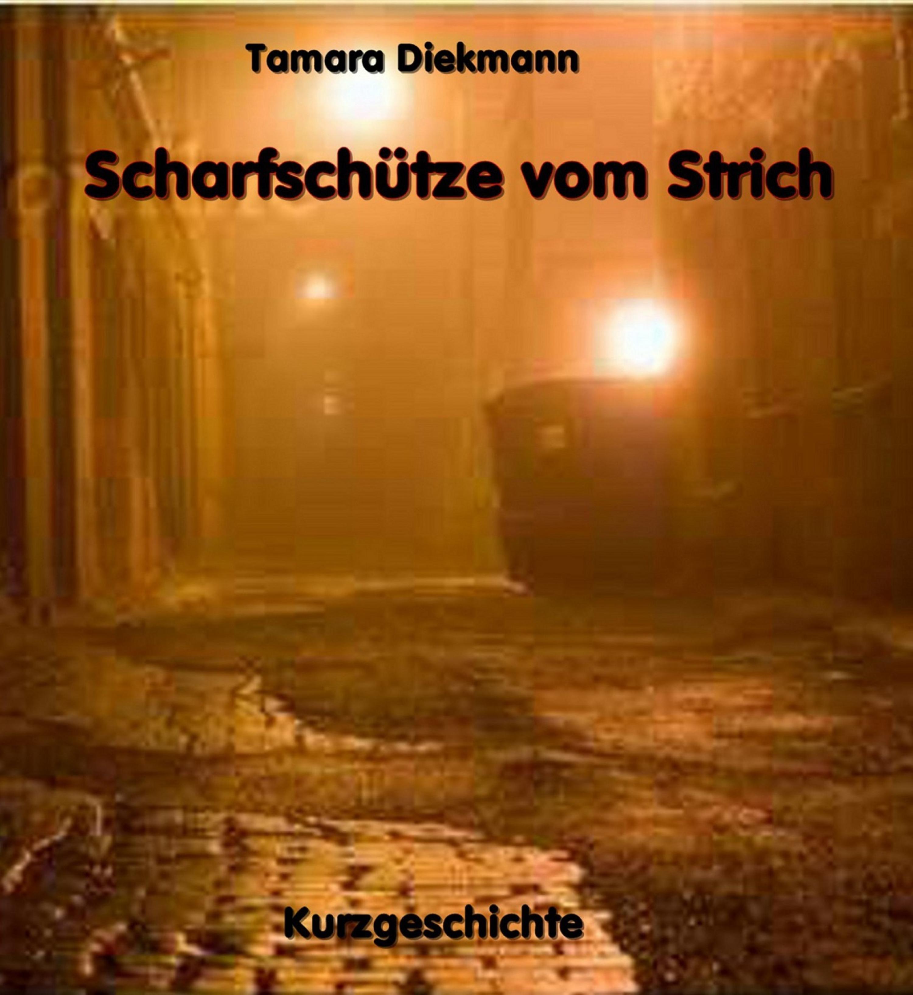 Обложка книги «Scharfschütze vom Strich»