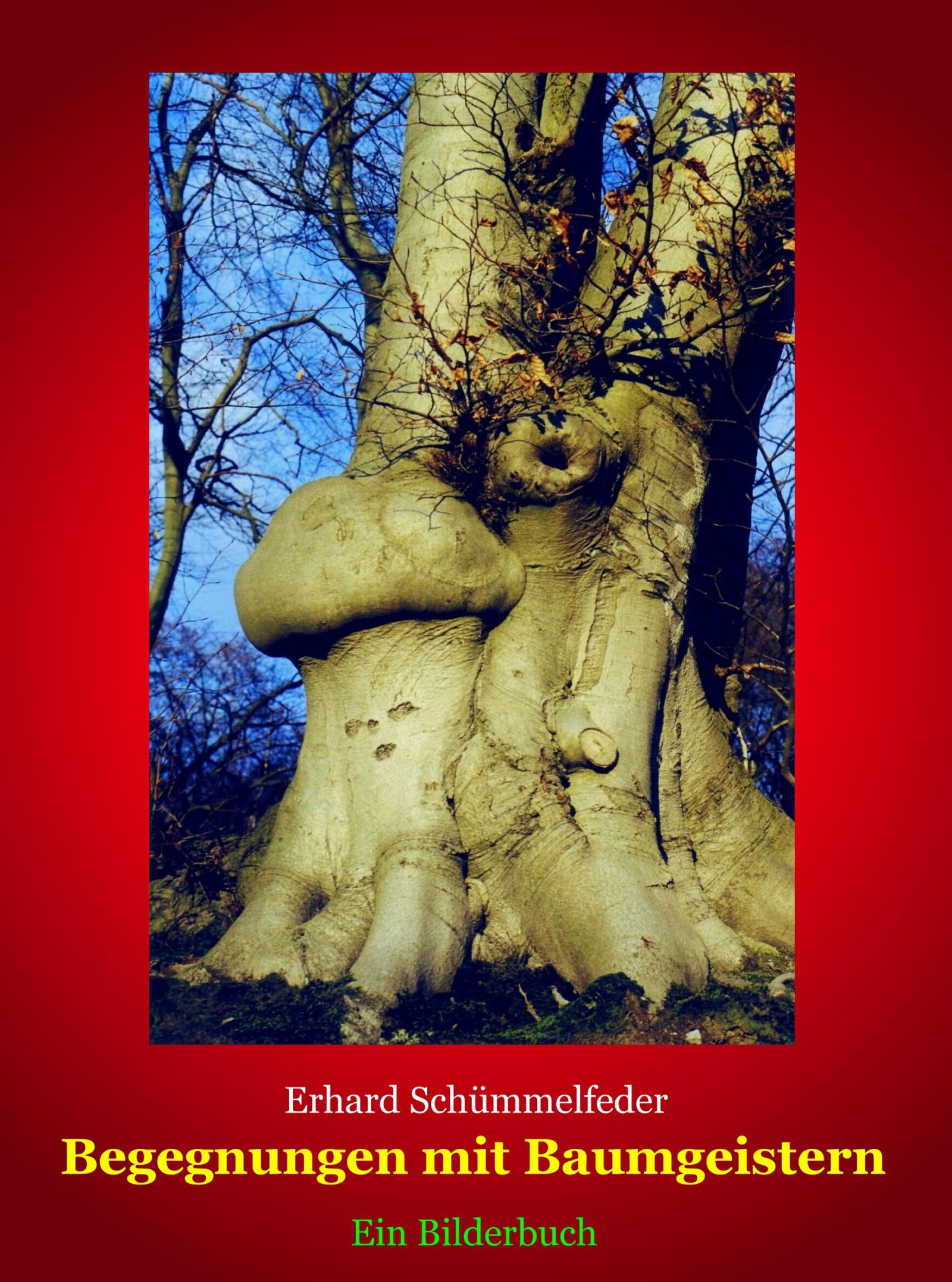 Обложка книги «Begegnungen mit Baumgeistern»